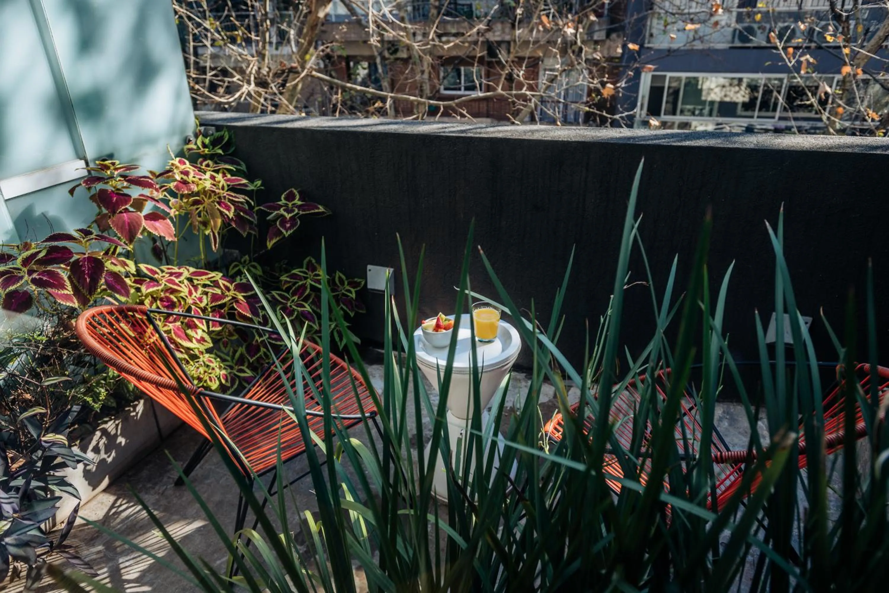 Balcony/Terrace in Pleno Palermo Soho