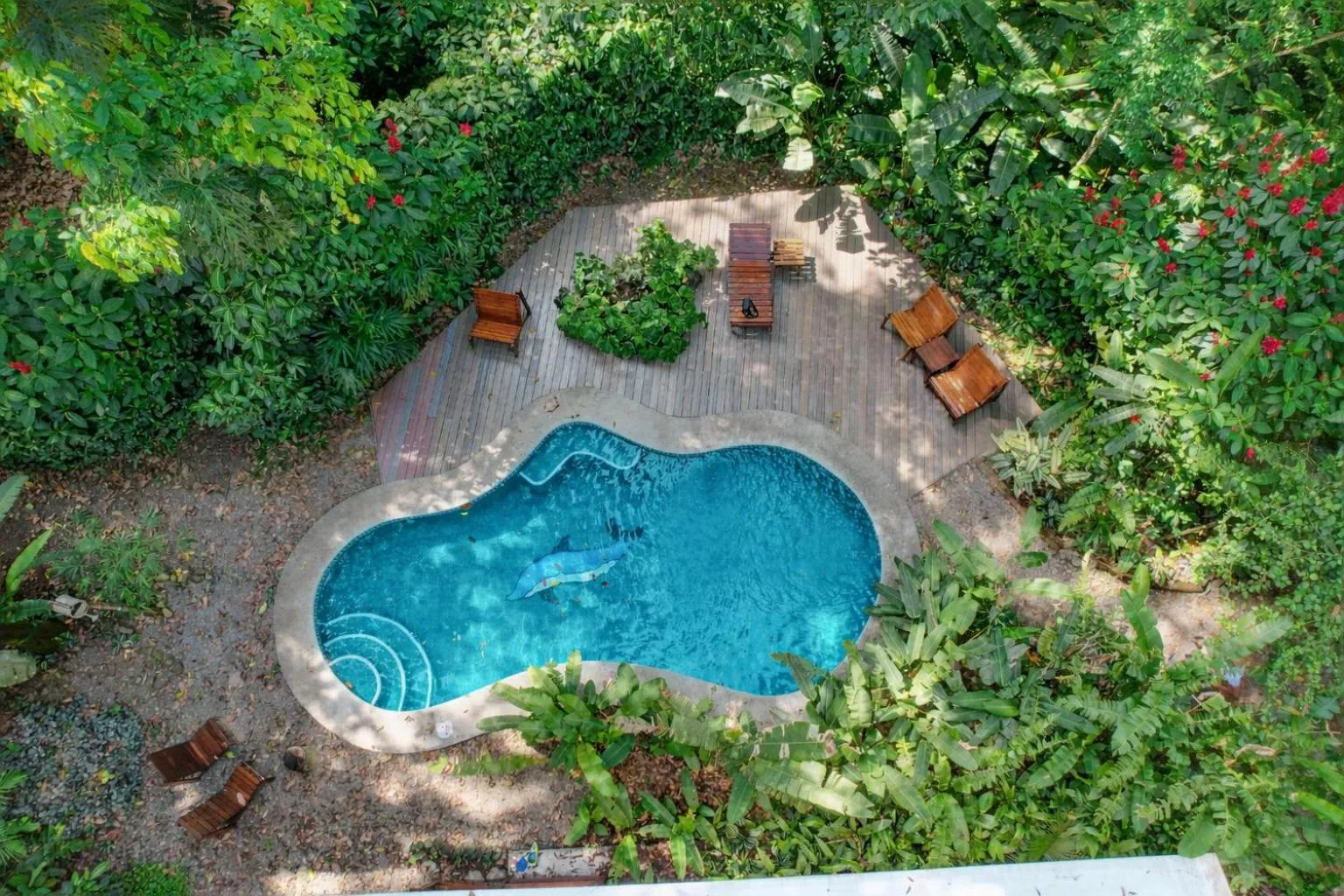 Swimming pool in La Kukula Lodge