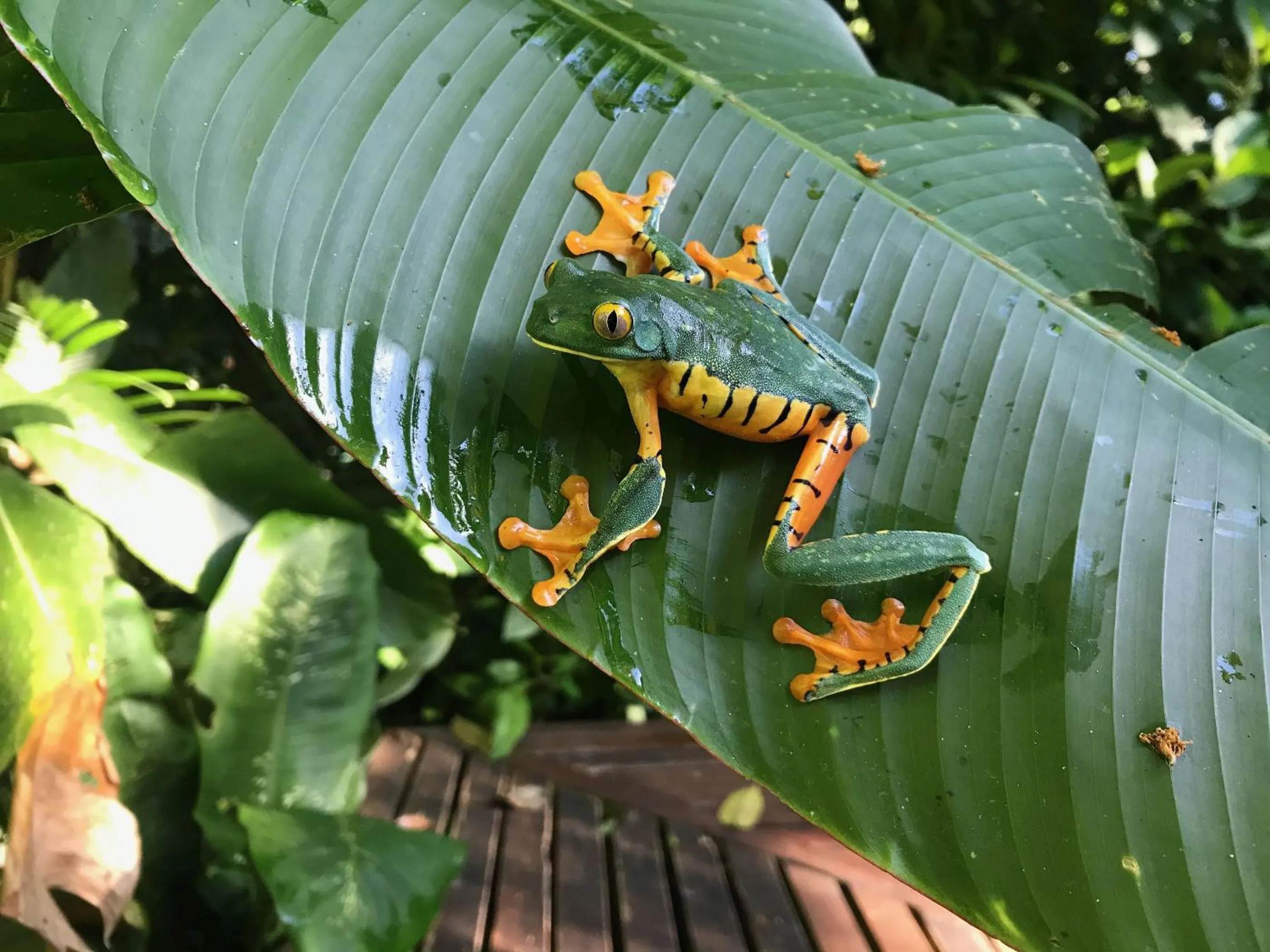Activities in La Kukula Lodge
