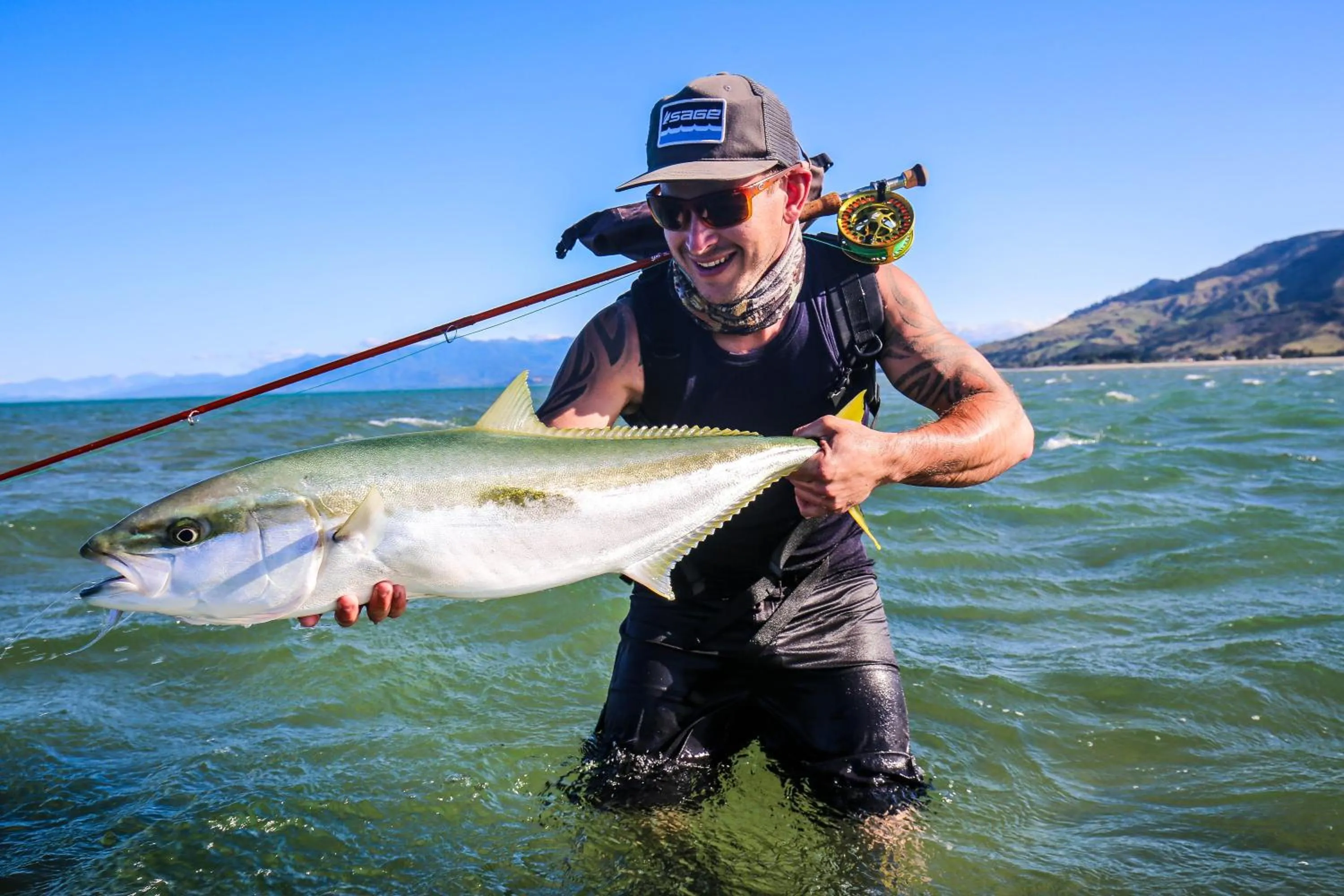 Activities in Collingwood Park Motel