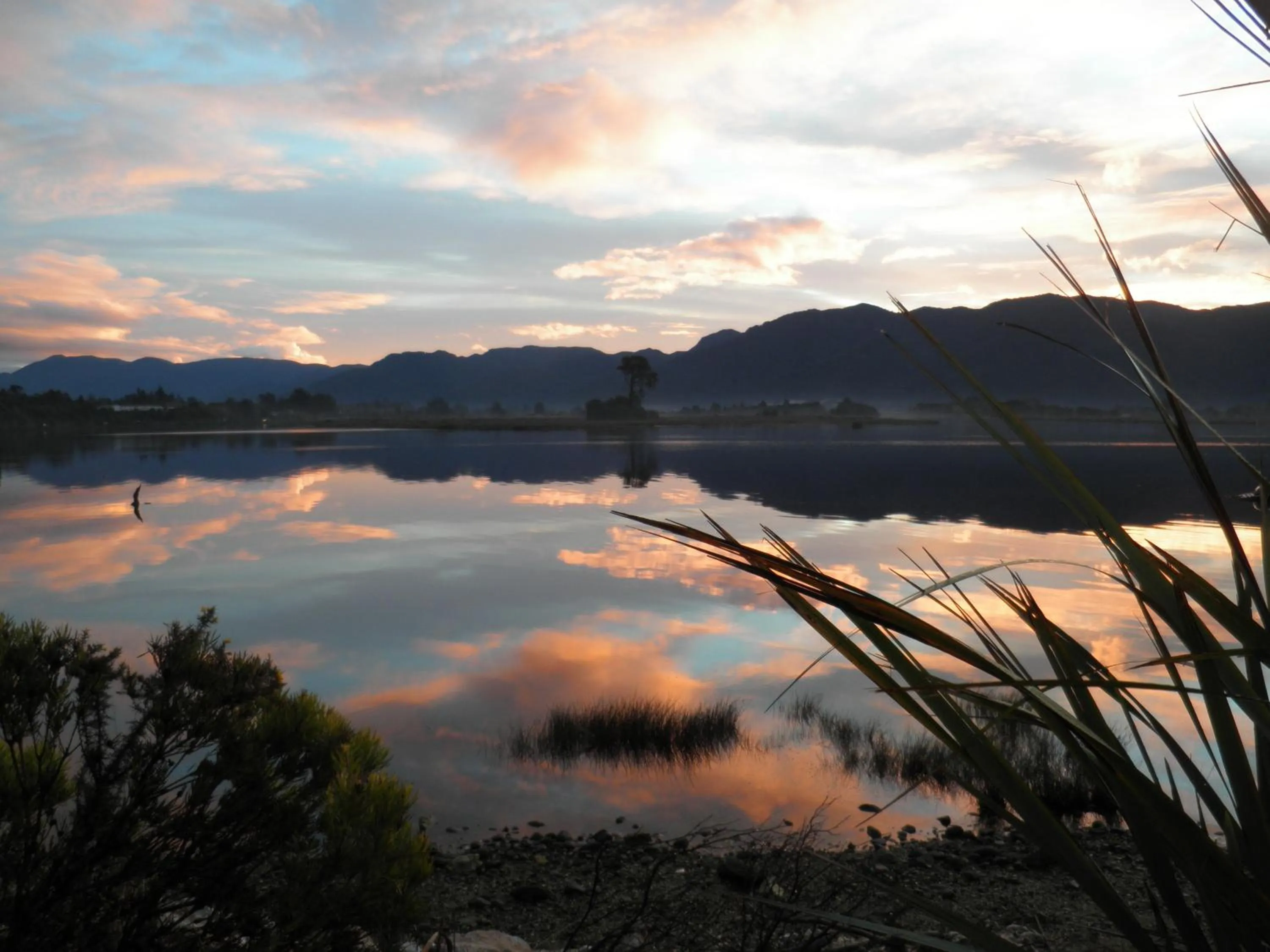 Hiking in Collingwood Park Motel