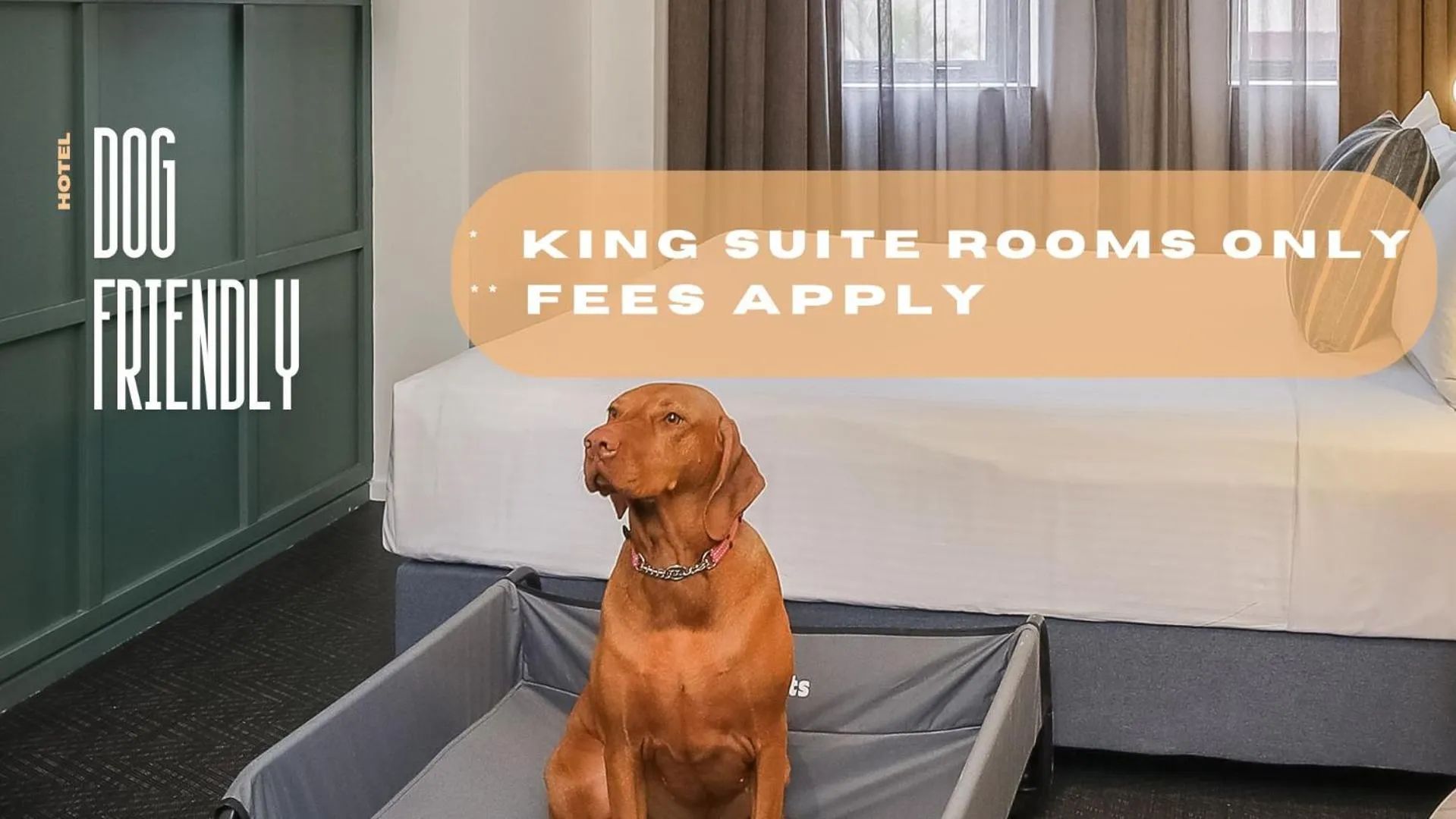 Property building in The Urban Newtown