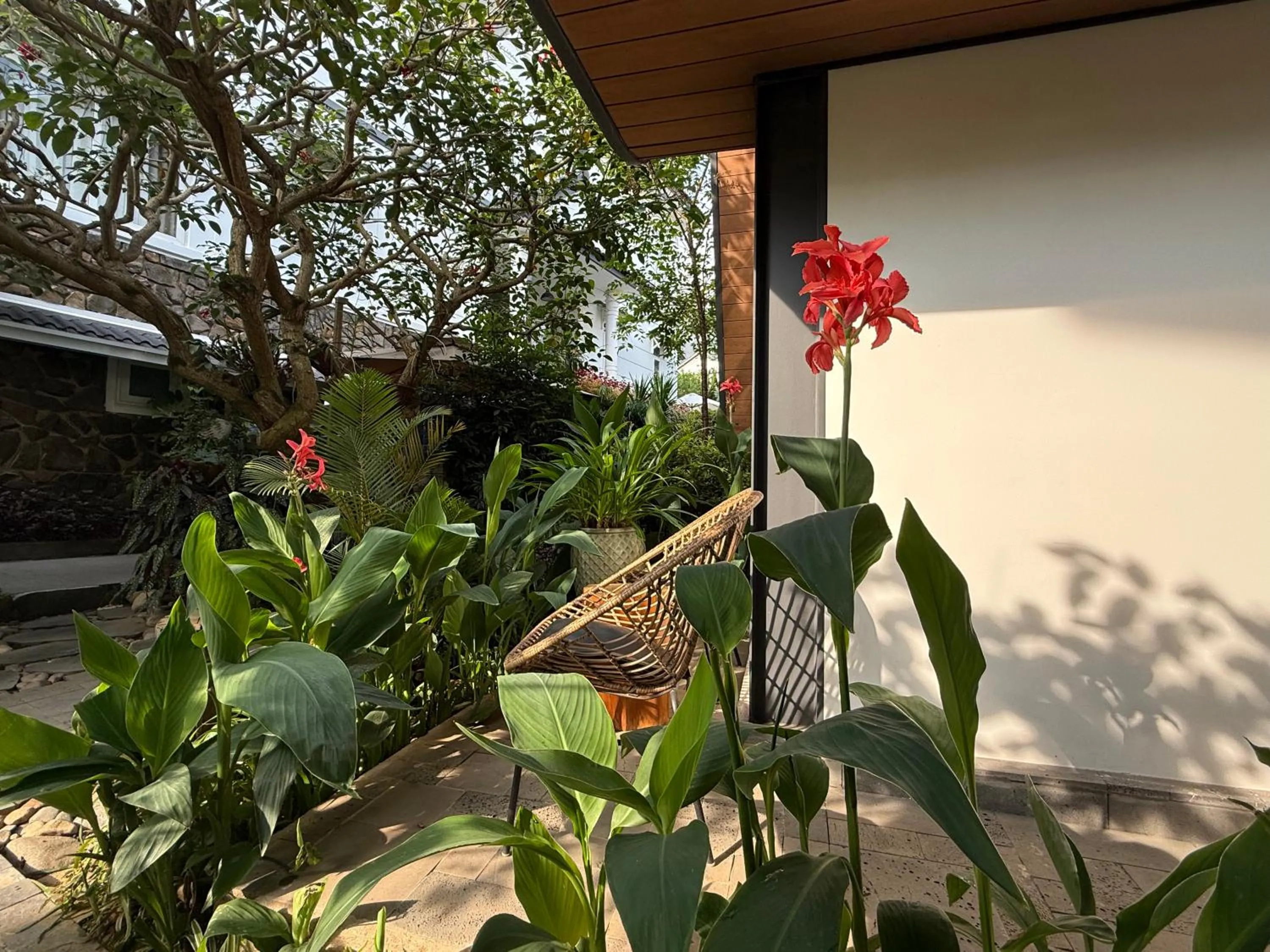 Garden in Bach Place Dalat