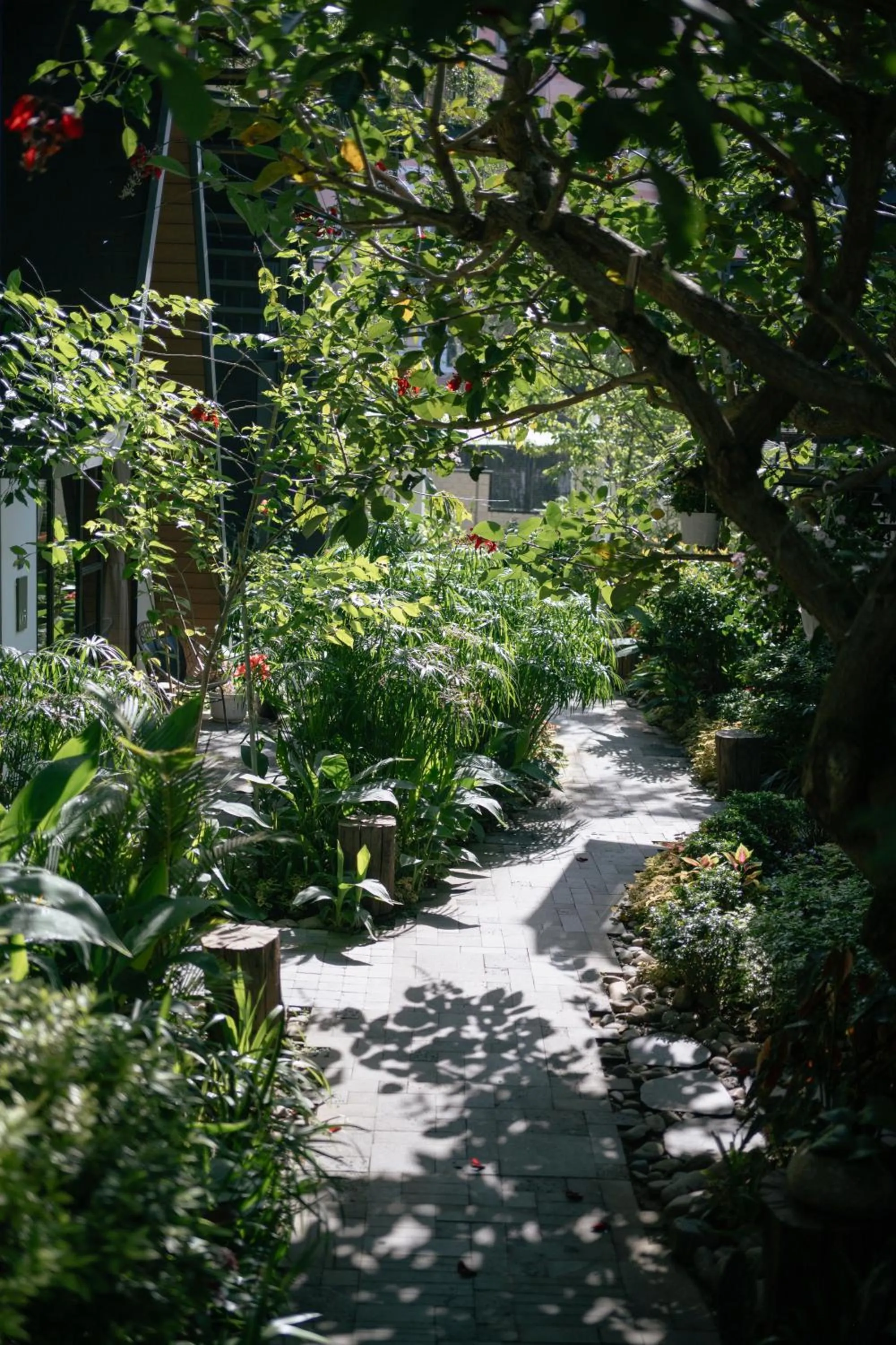 Garden in Bach Place Dalat