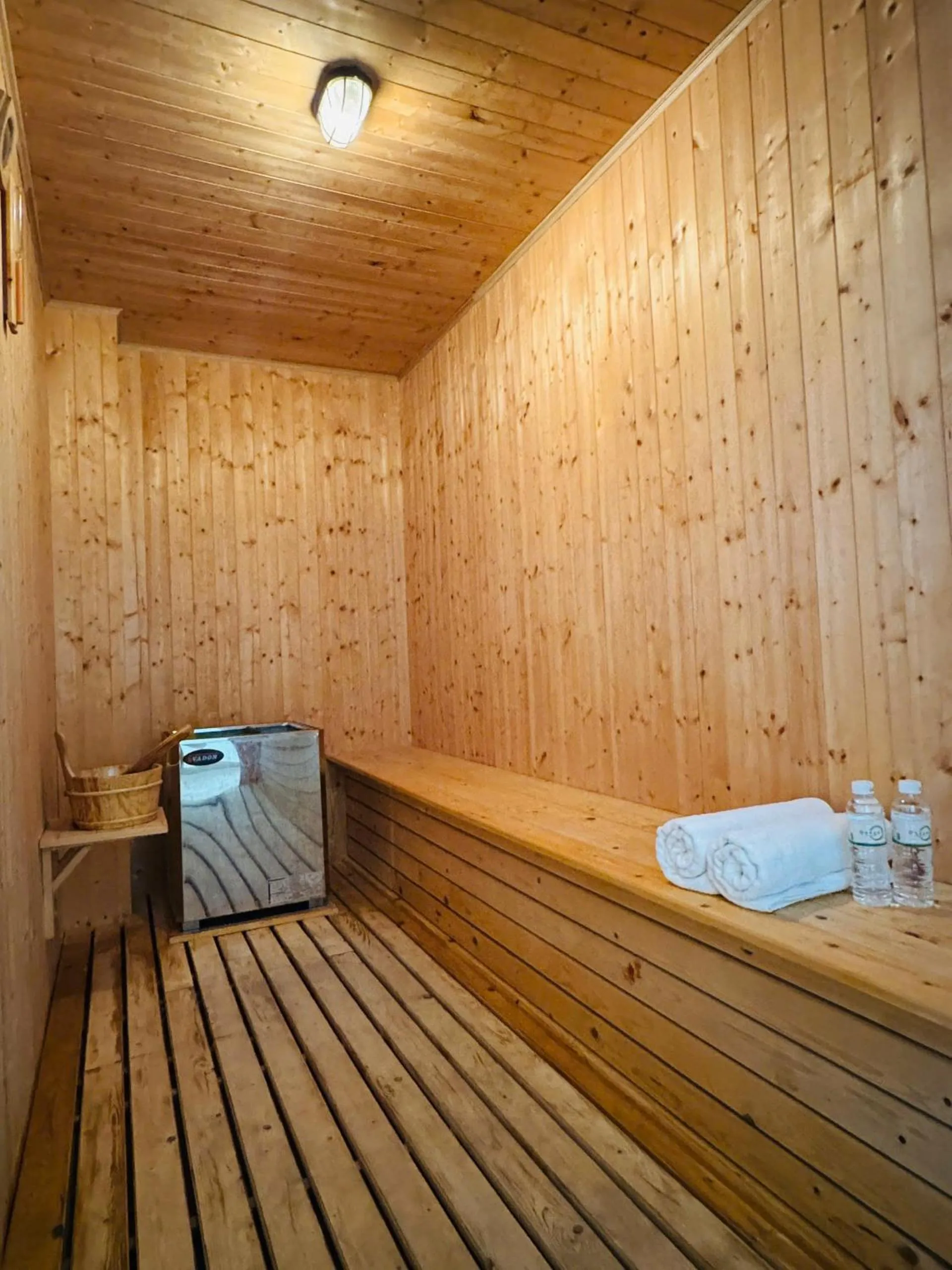 Sauna in Daphovina Hotel
