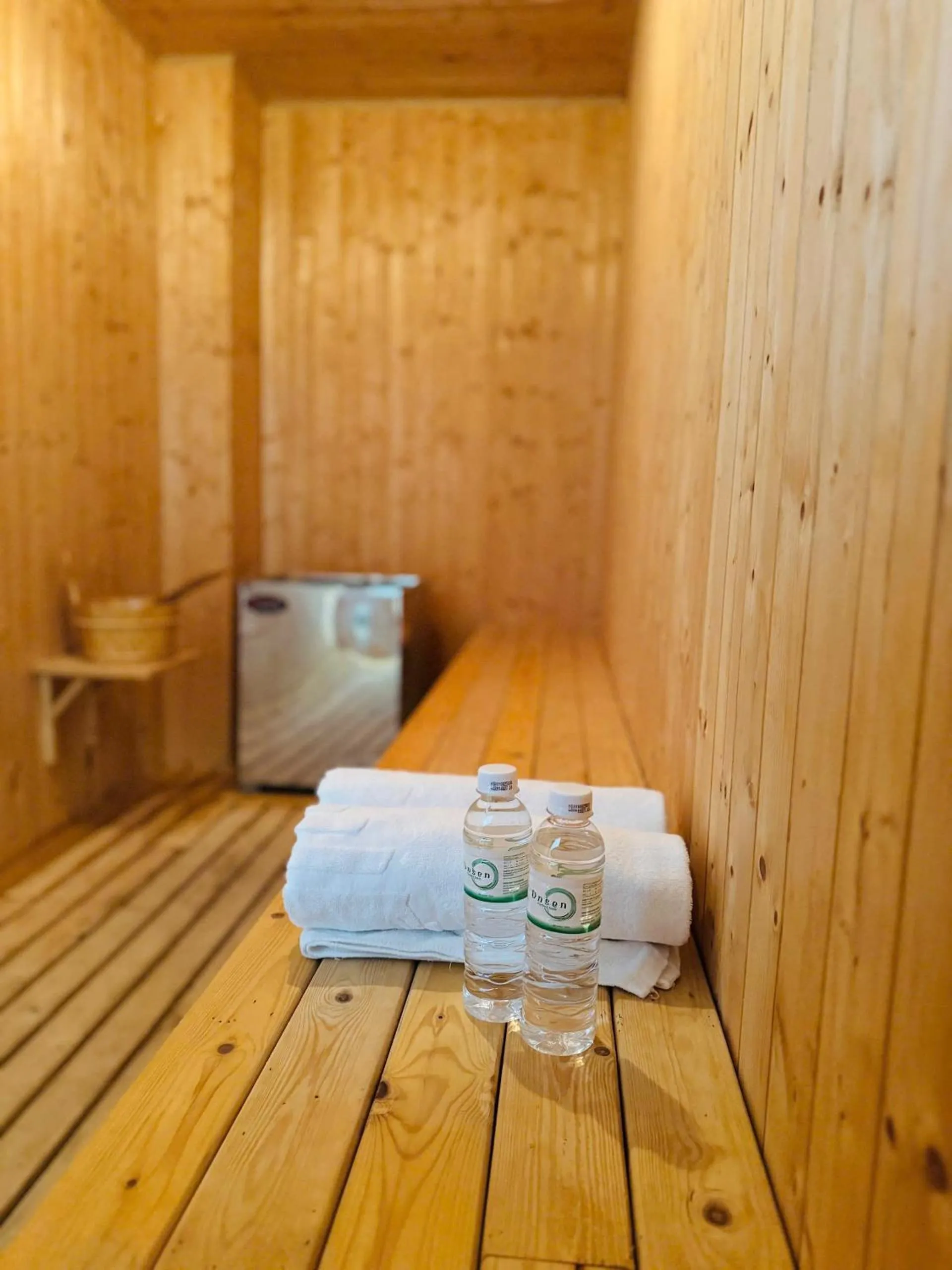 Sauna in Daphovina Hotel
