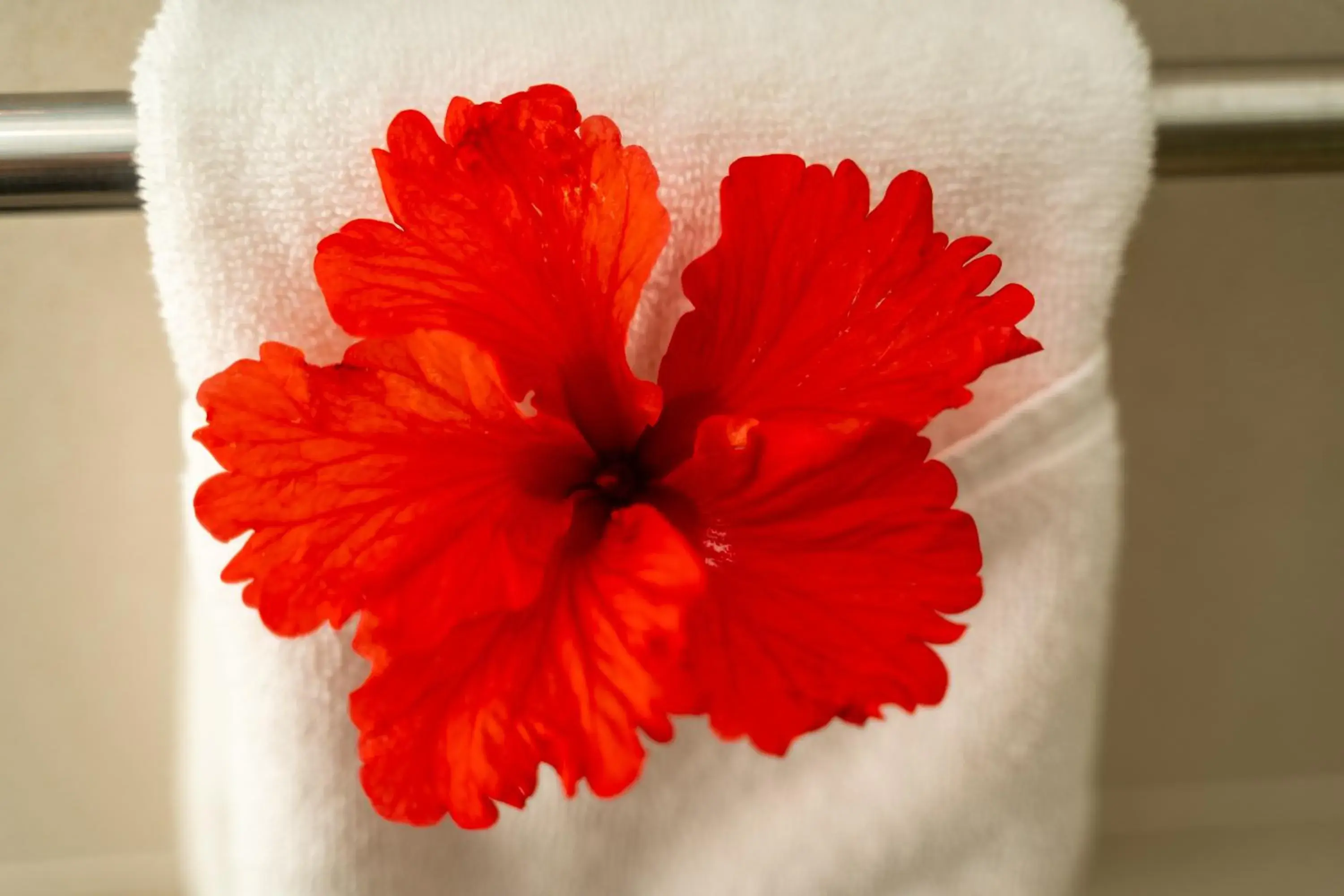 Standard Twin Room in The Ridge Residence Standard Twin Room in The Ridge Residence