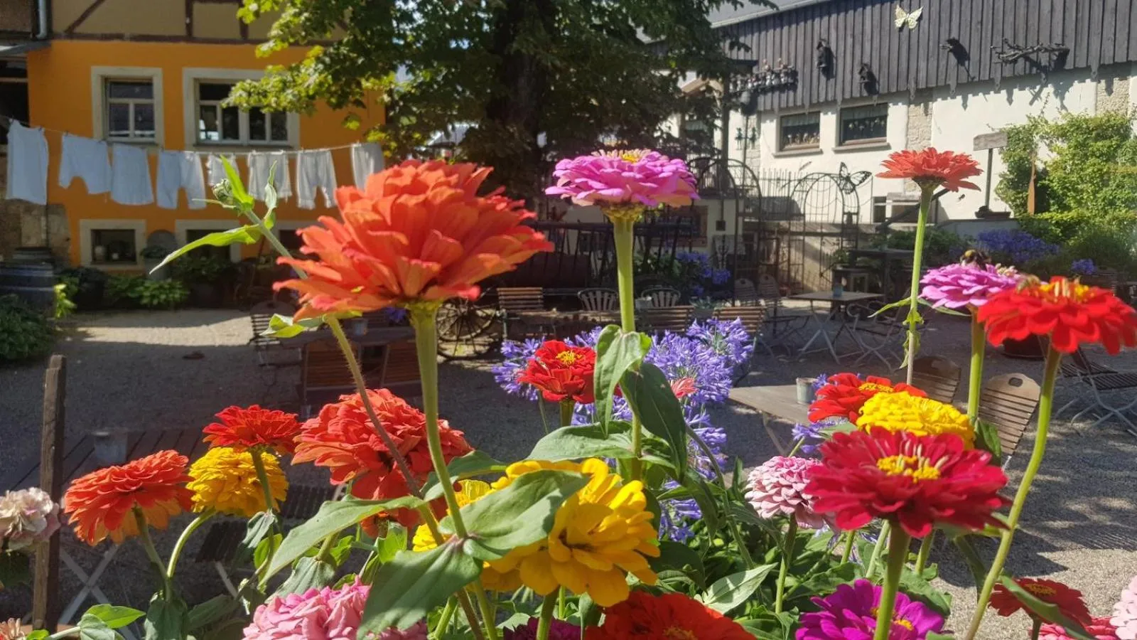 Garden in Gohrischer Hof Anno 1798