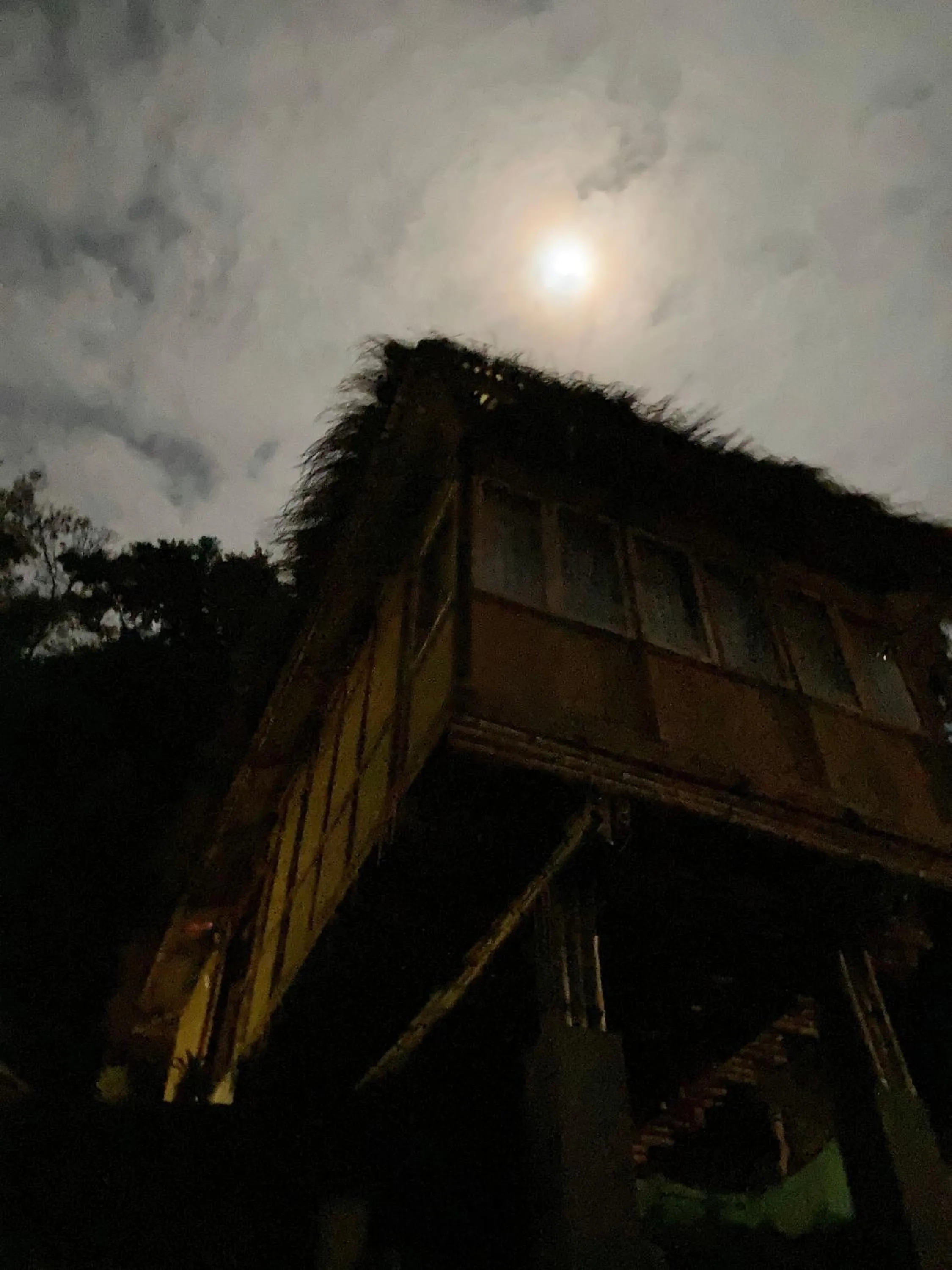 Property building in Art Mile Kalimpong