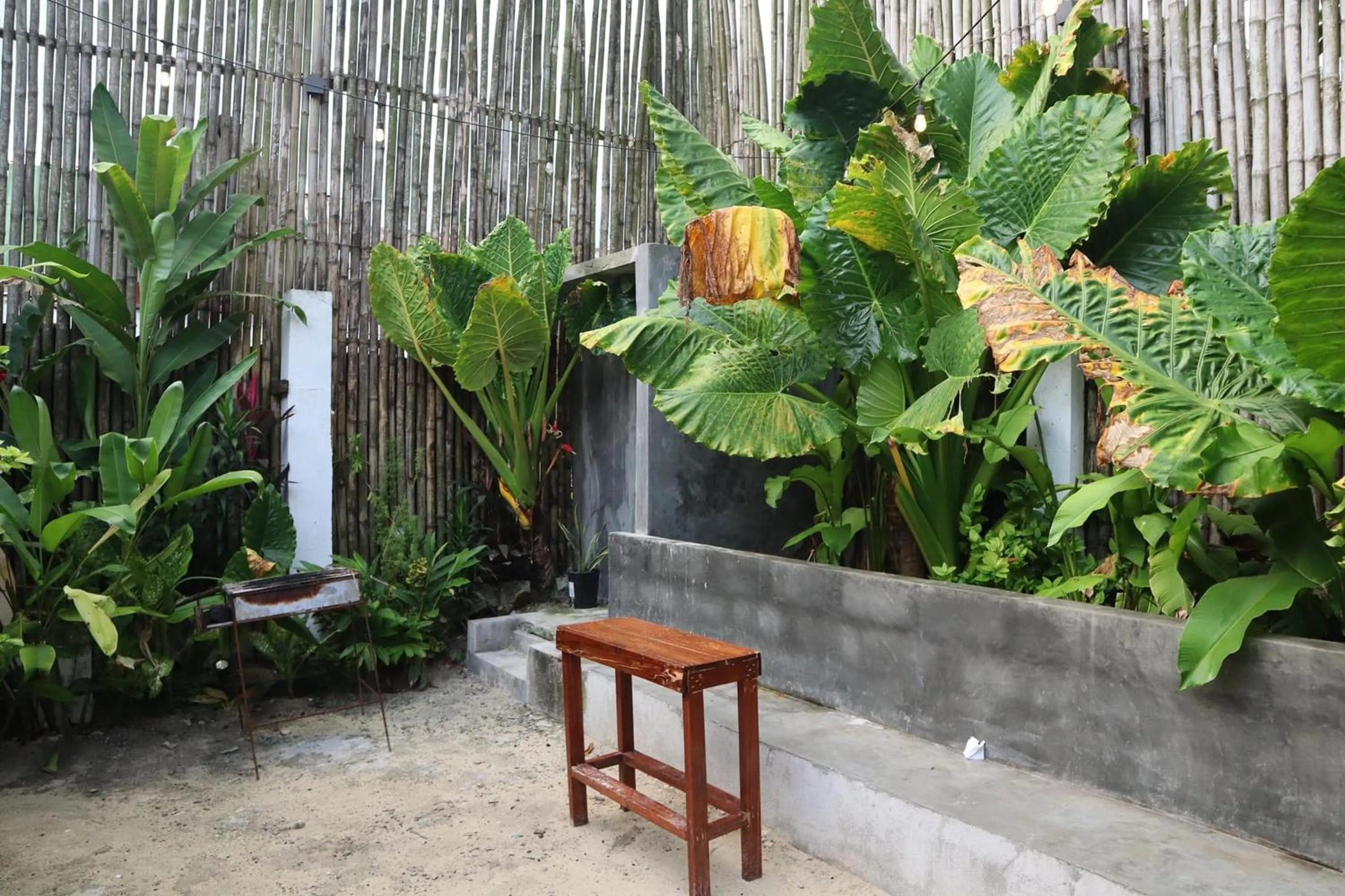 Garden view in Mazawa Siargao