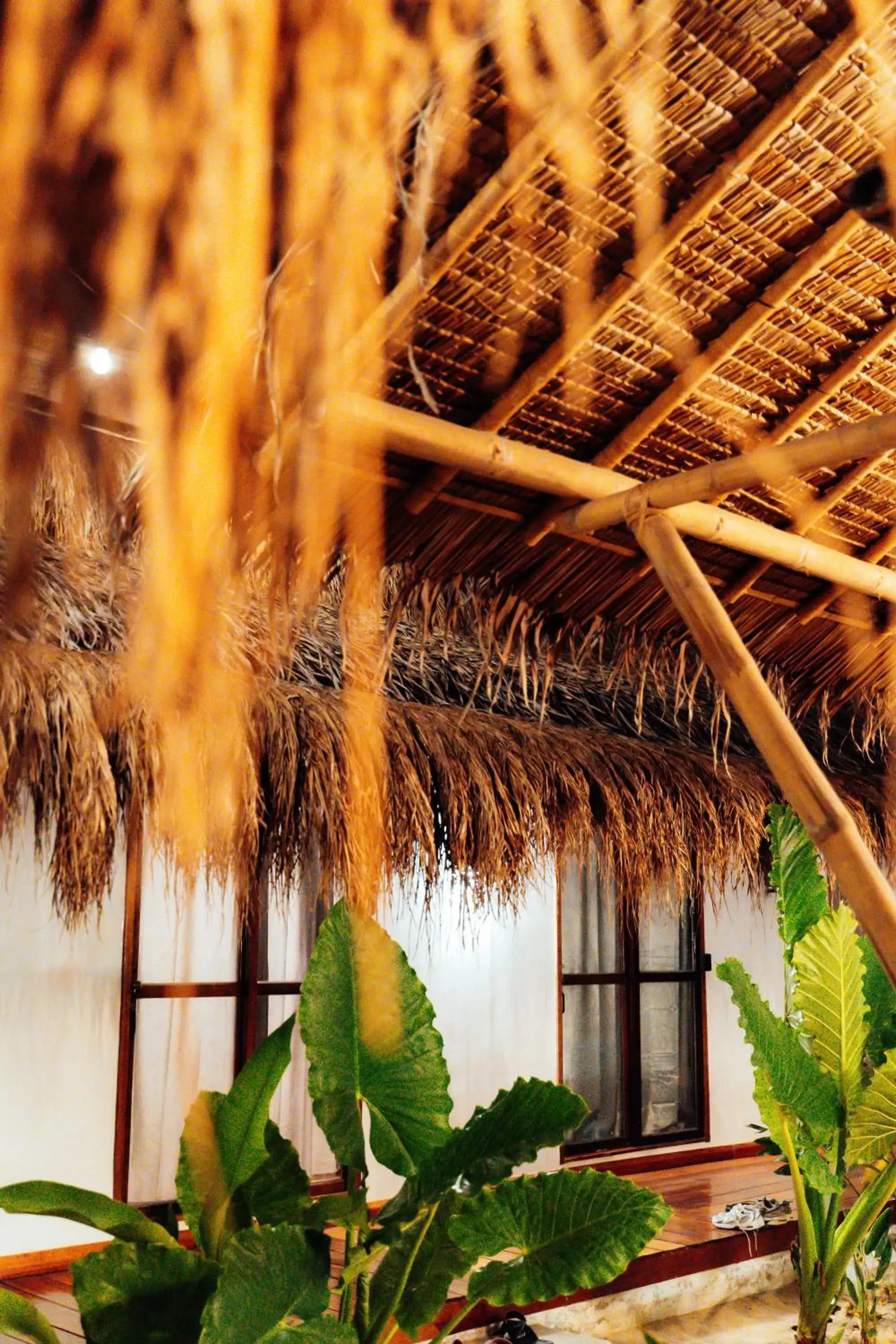 Property building in Mazawa Siargao Property building in Mazawa Siargao