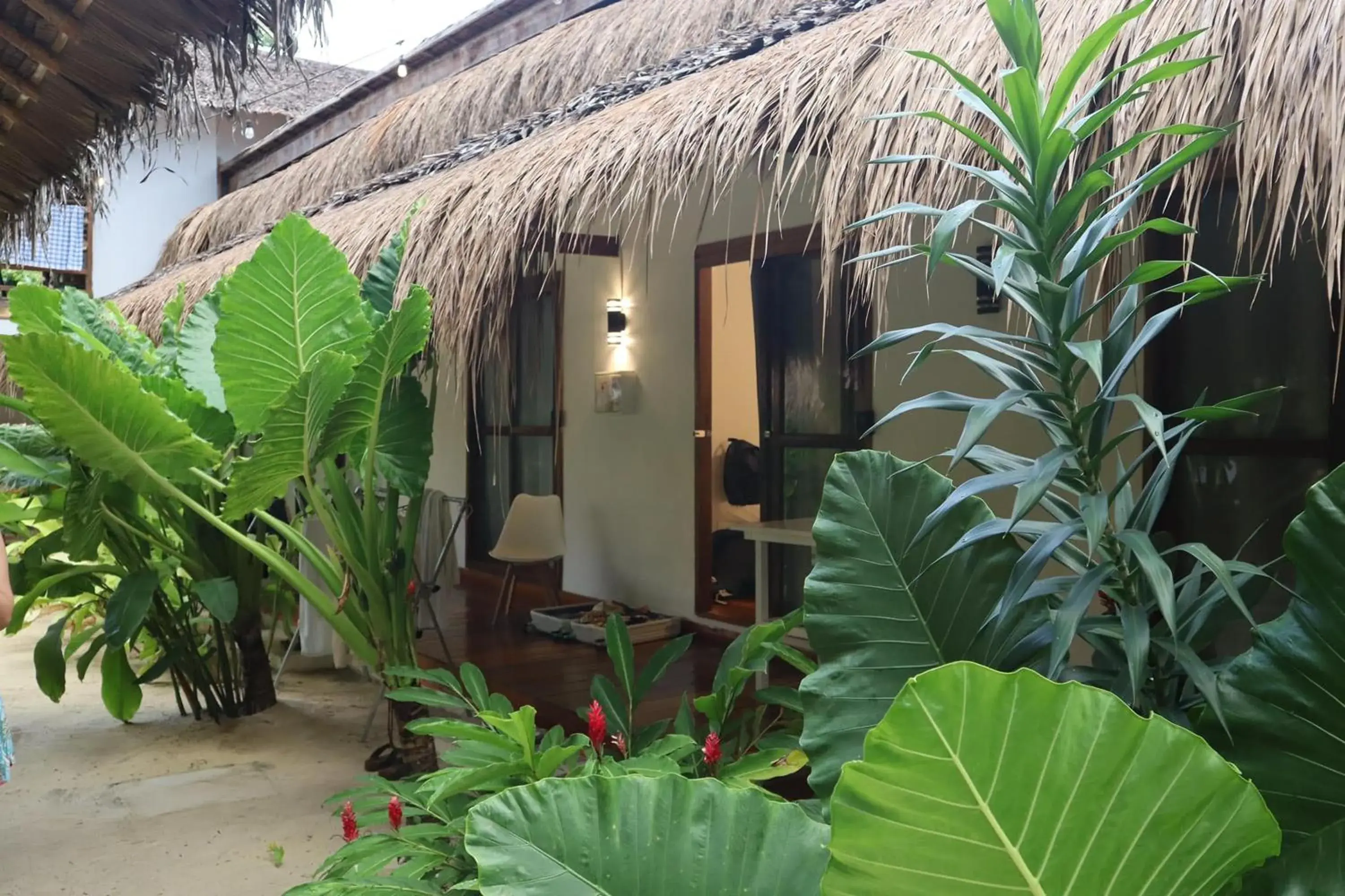 Property building in Mazawa Siargao Property building in Mazawa Siargao