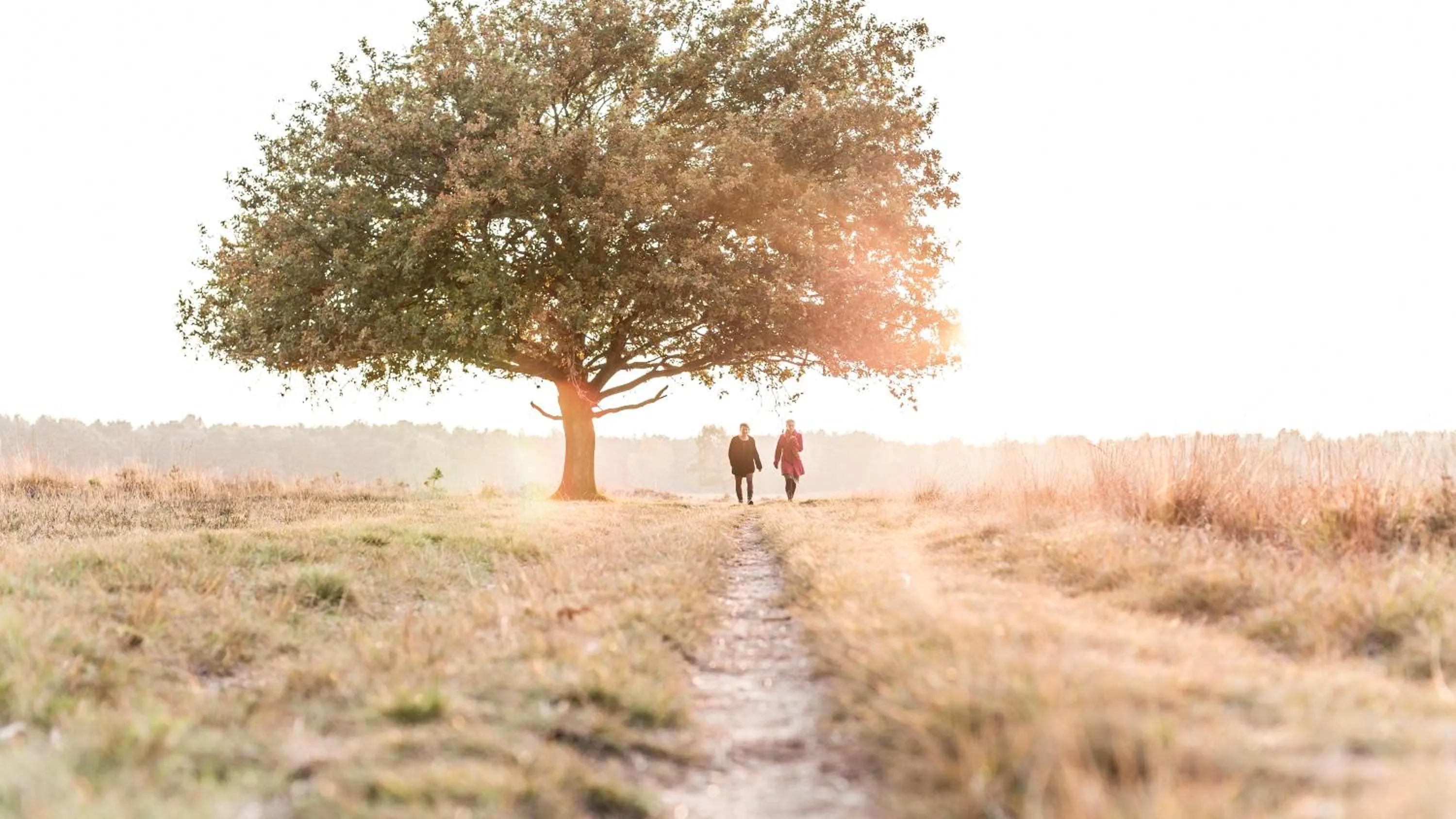 Natural landscape in Hotel Umberto