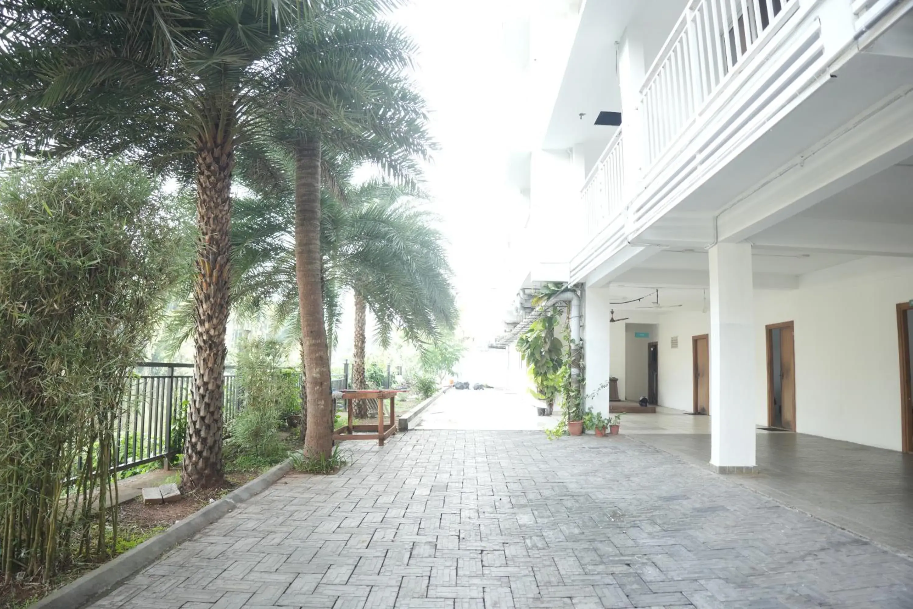 Garden view in HOTEL LETS STAY Garden view in HOTEL LETS STAY