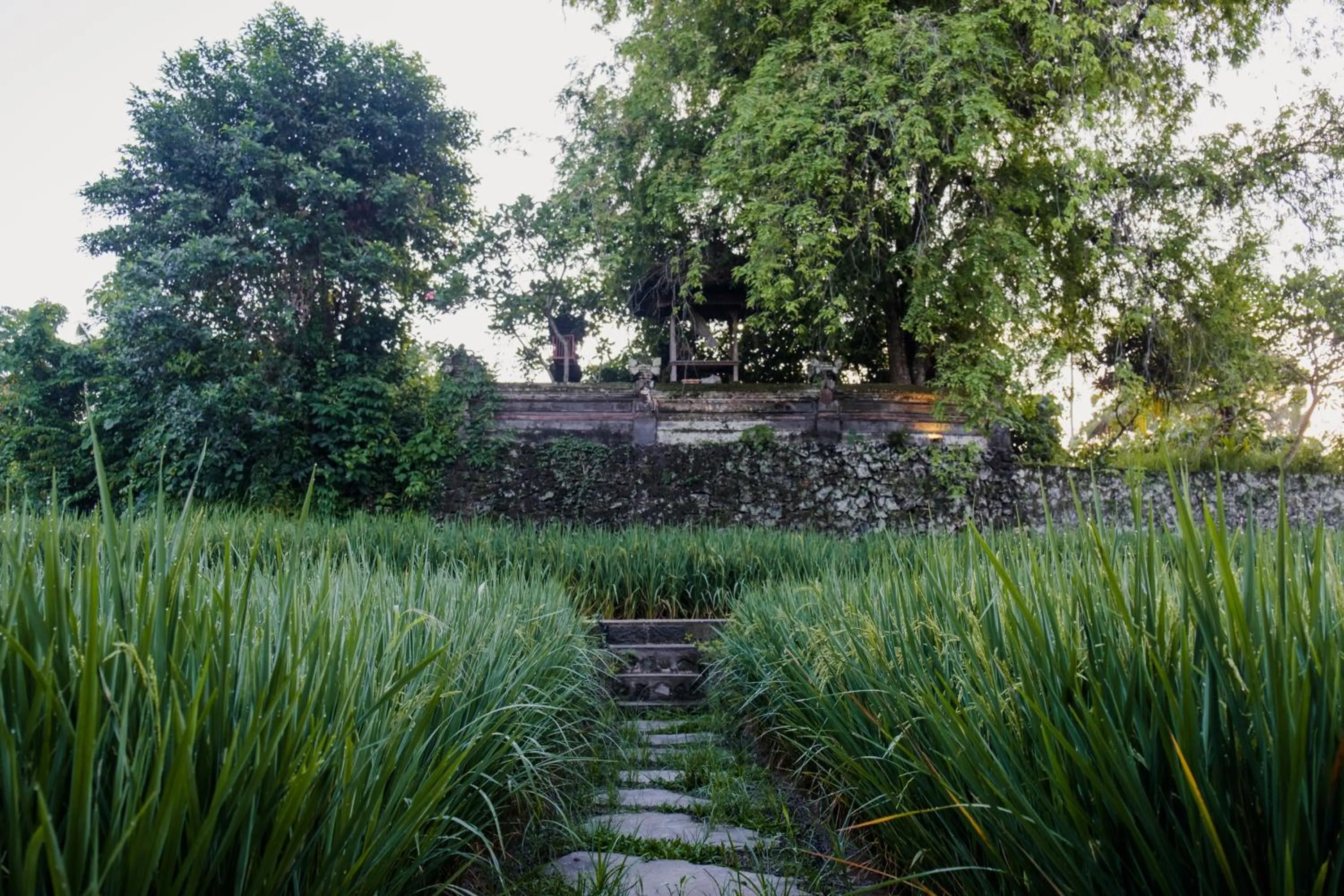 Uma Raos Cottage