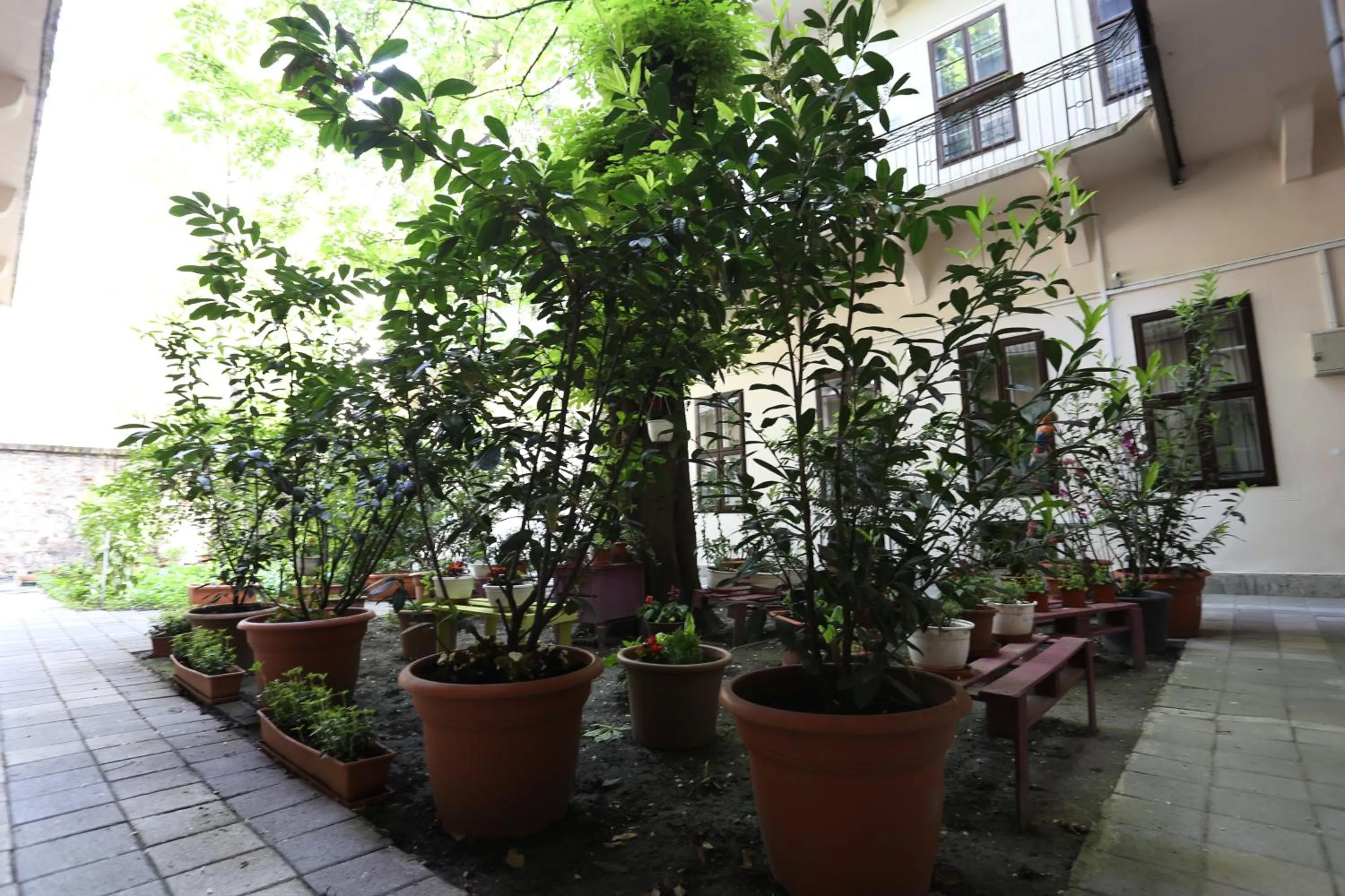 Garden in Amber Gardenview Studios Downtown