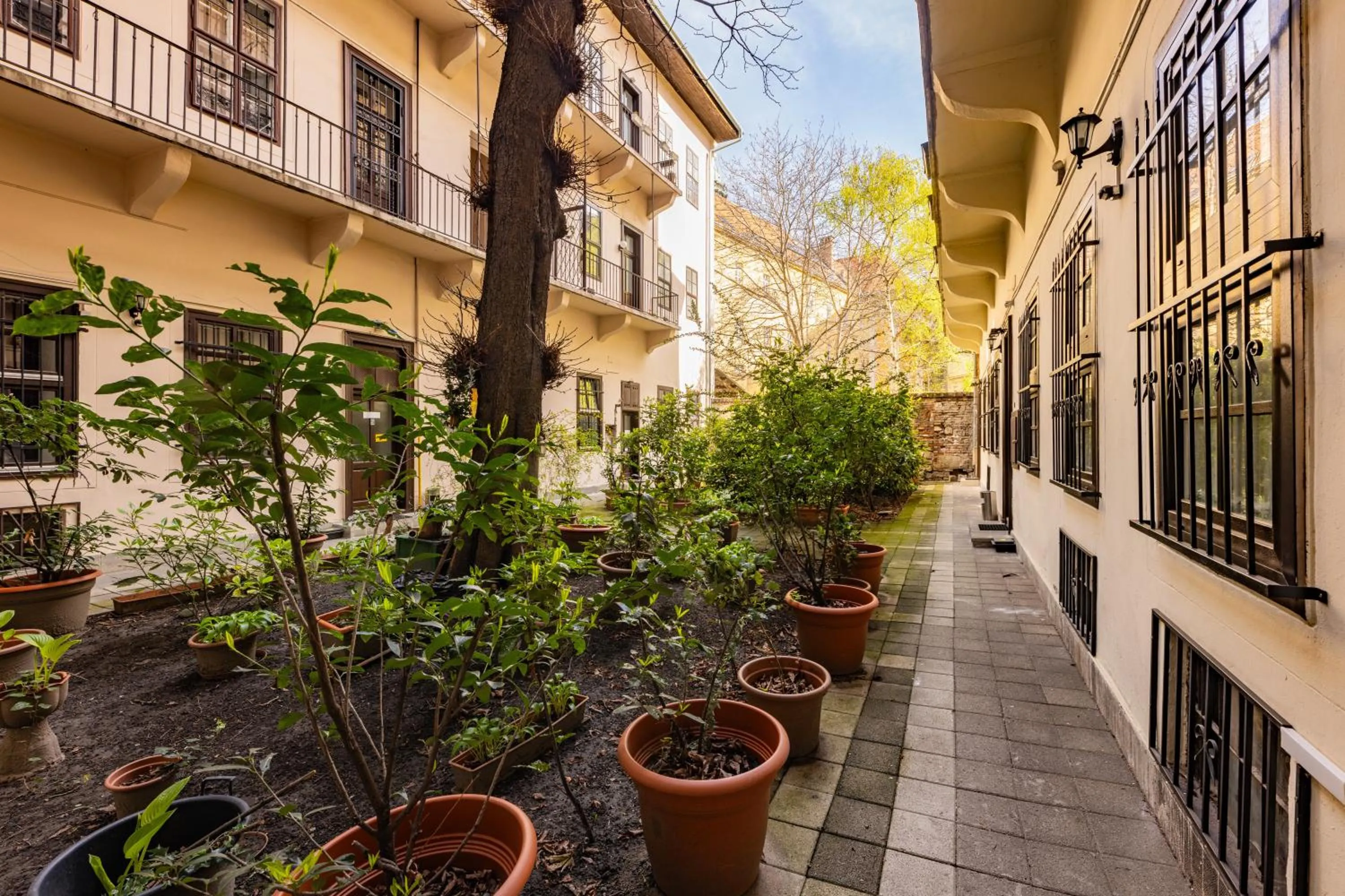 Property building in Amber Gardenview Studios Downtown