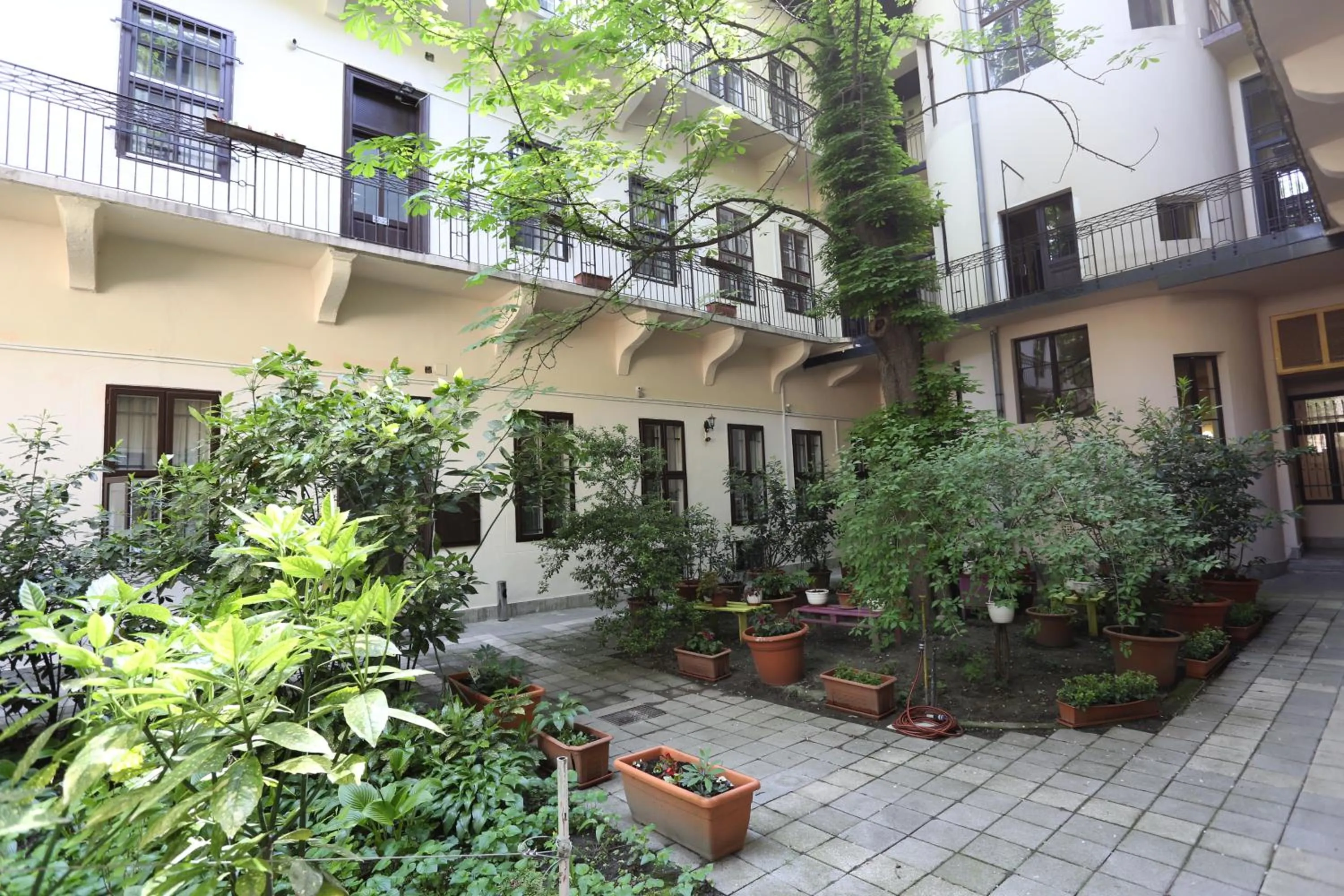 Garden in Amber Gardenview Studios Downtown