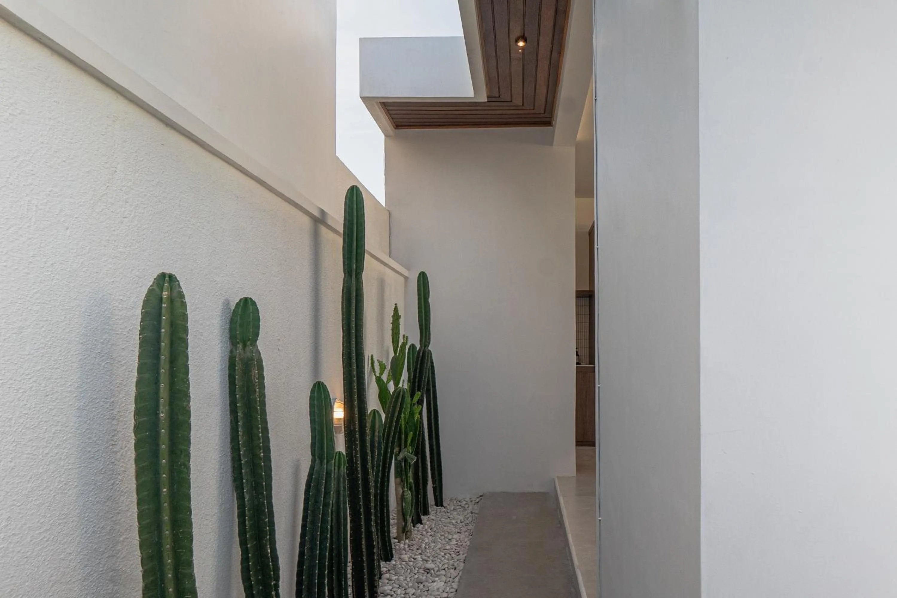 Area and facilities in Nakuh Studio Villa