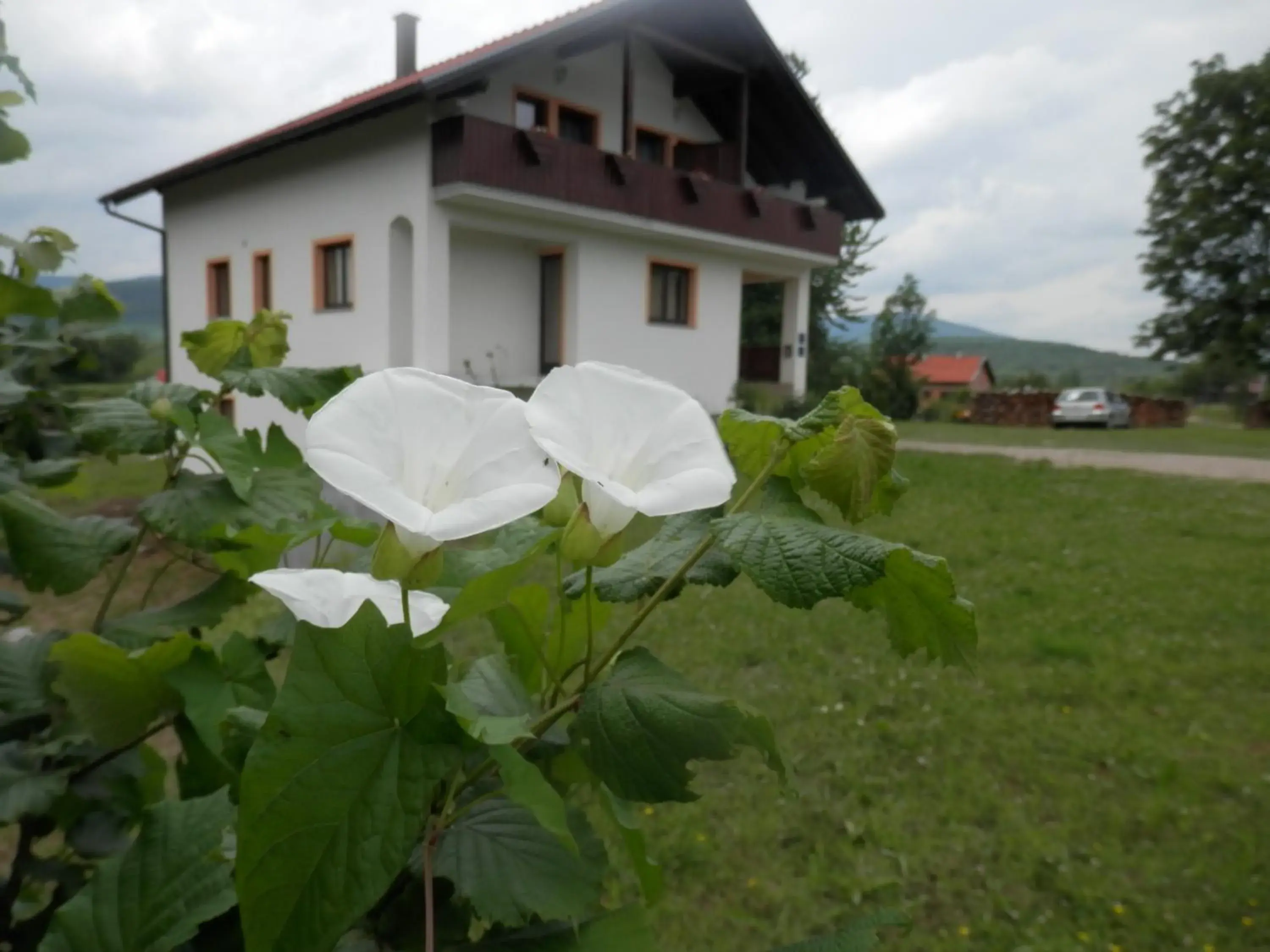 Guesthouse Matija Guesthouse Matija