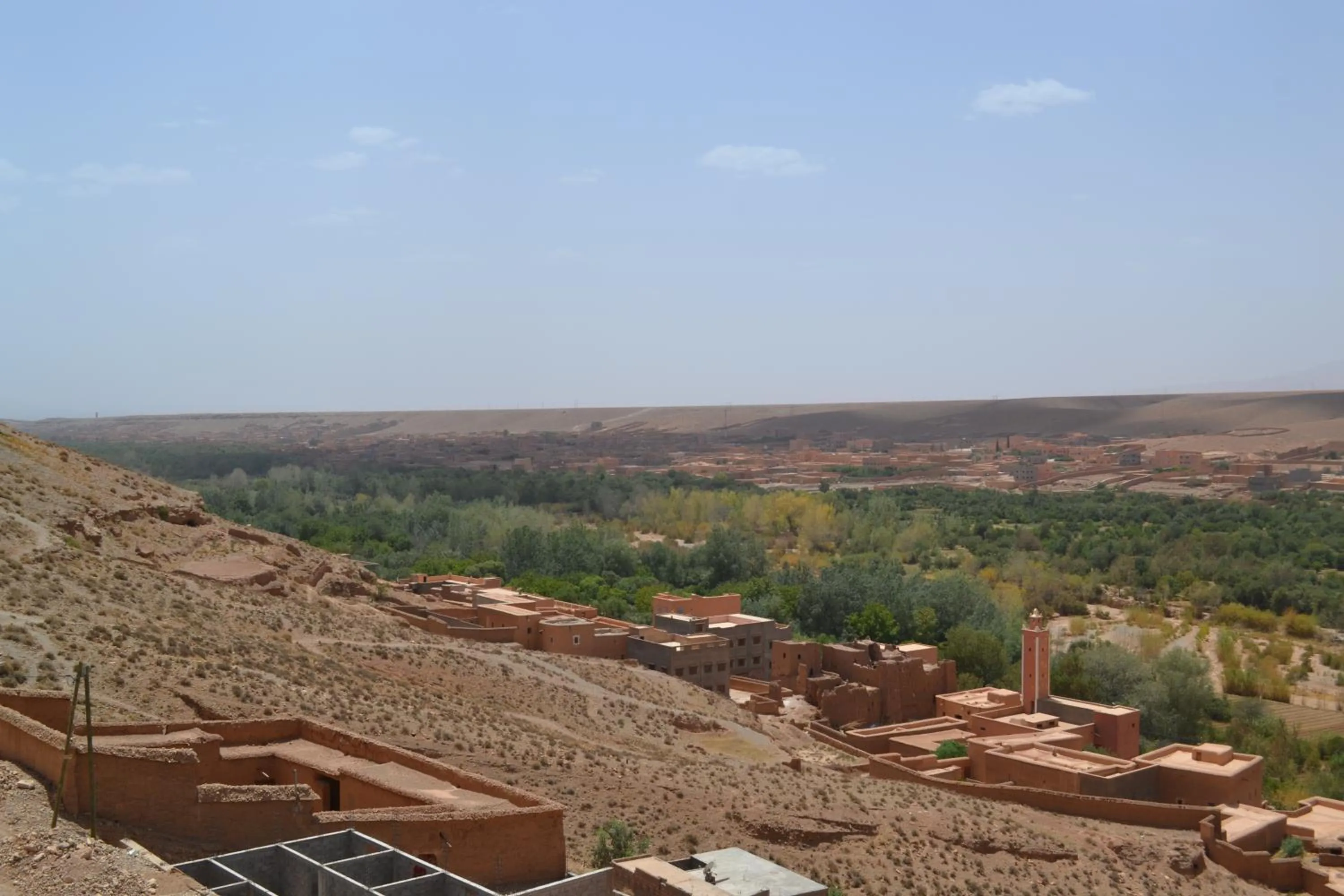 Garden view in Hotel Almanader