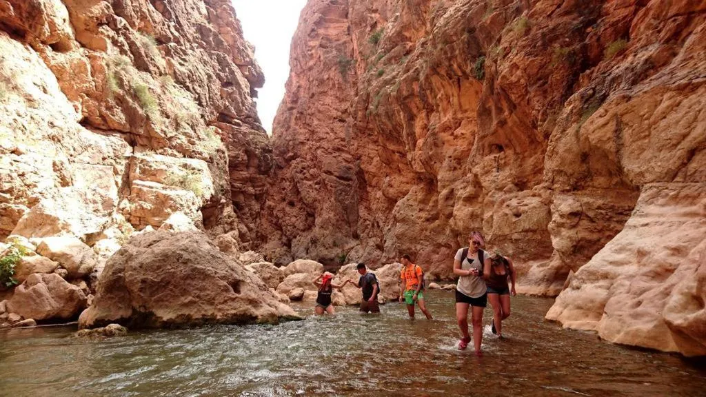 View (from property/room) in Hotel Almanader