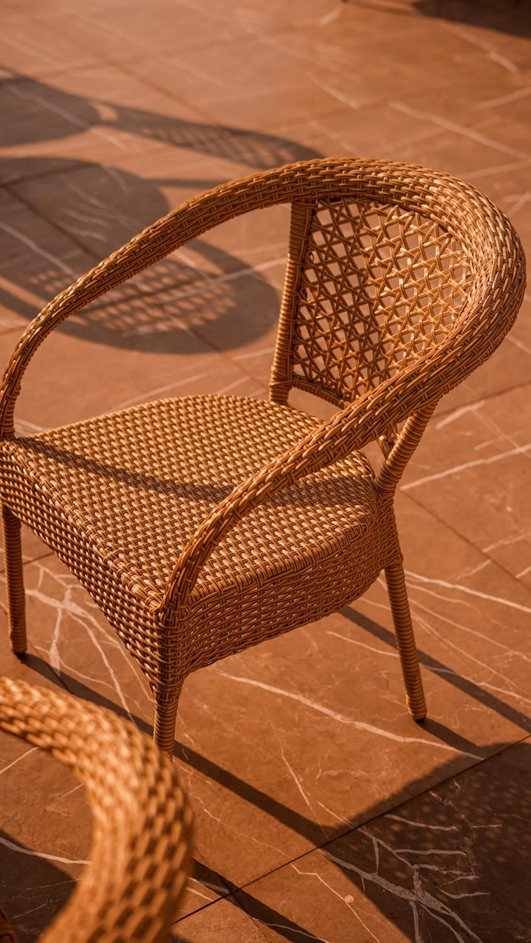 Restaurant/places to eat in Hotel Northwind Mohali