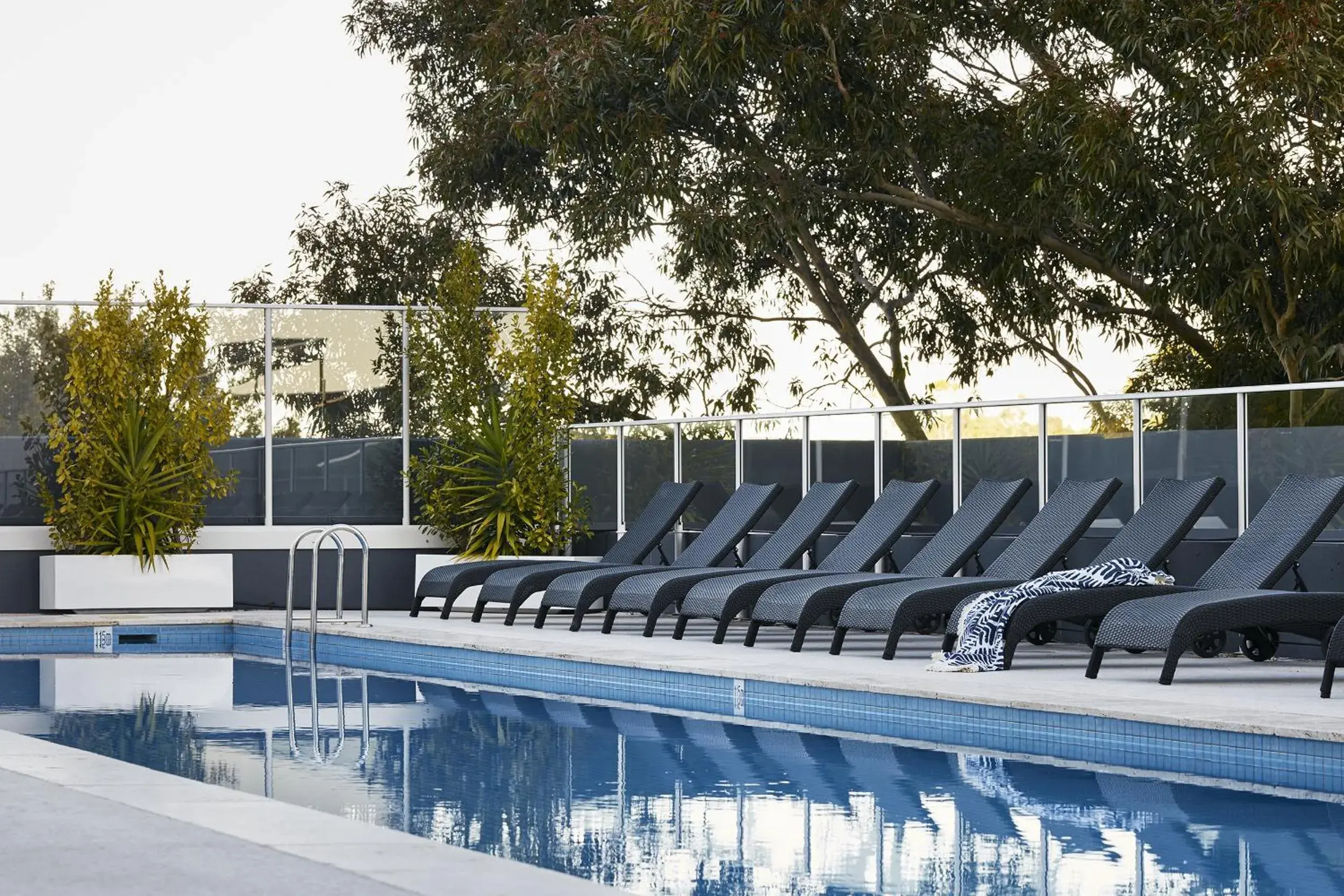 Swimming pool in Art Series - The Watson Swimming pool in Art Series - The Watson