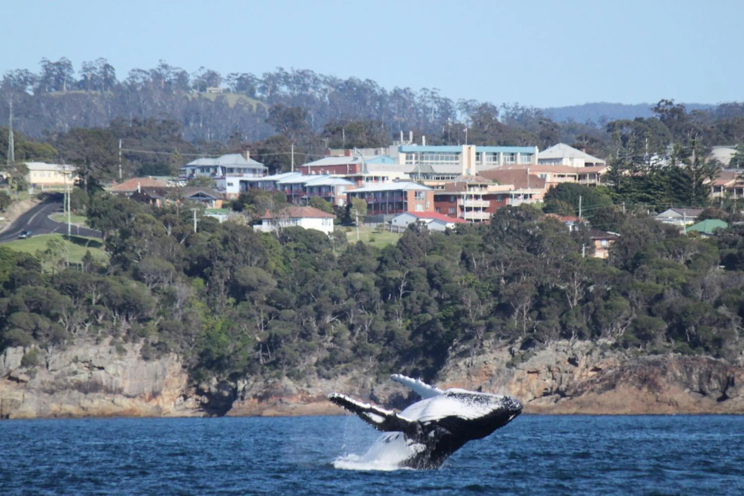 Bird's eye view in Heritage House Motel & Units