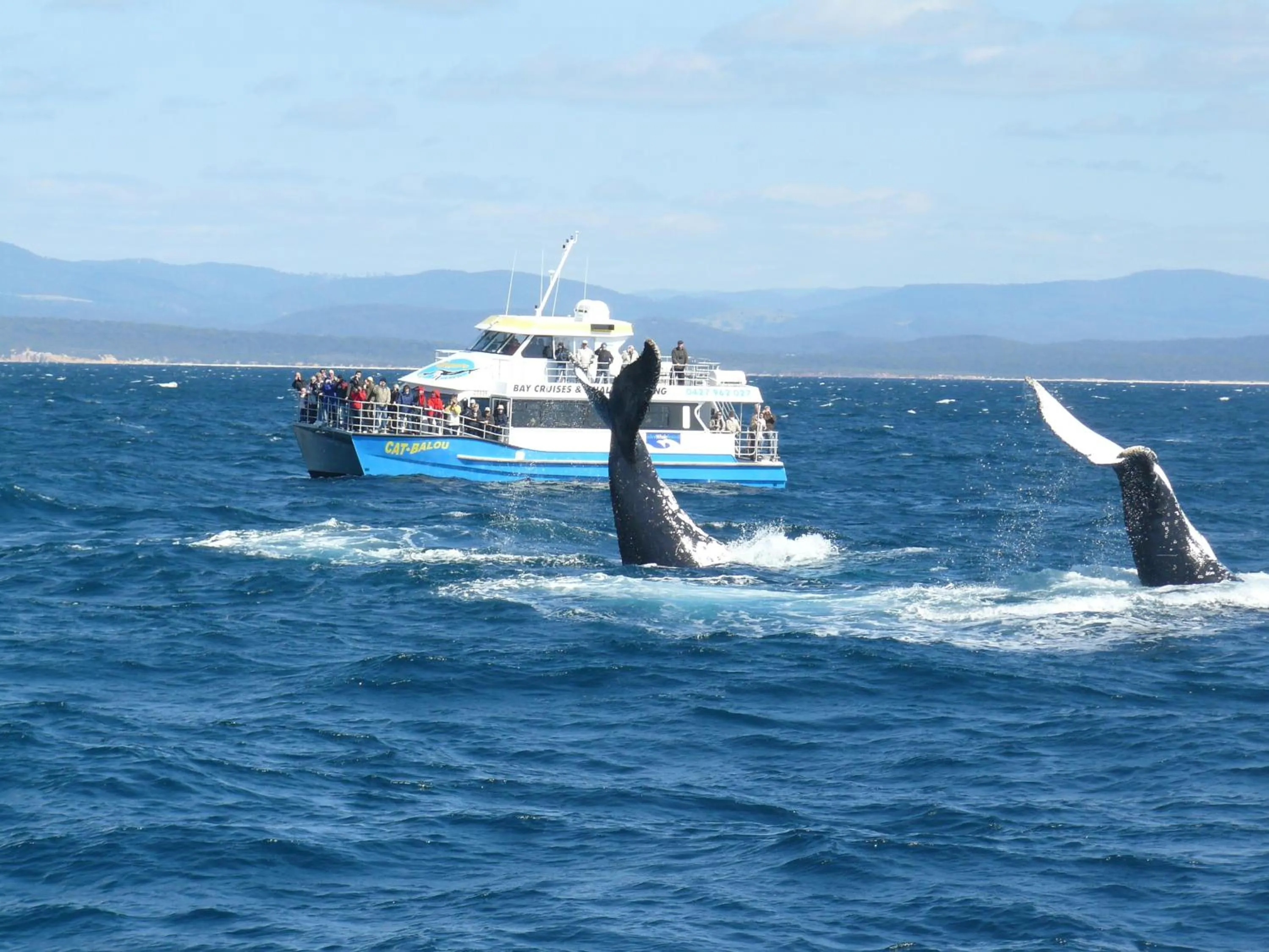 Spring in Heritage House Motel & Units