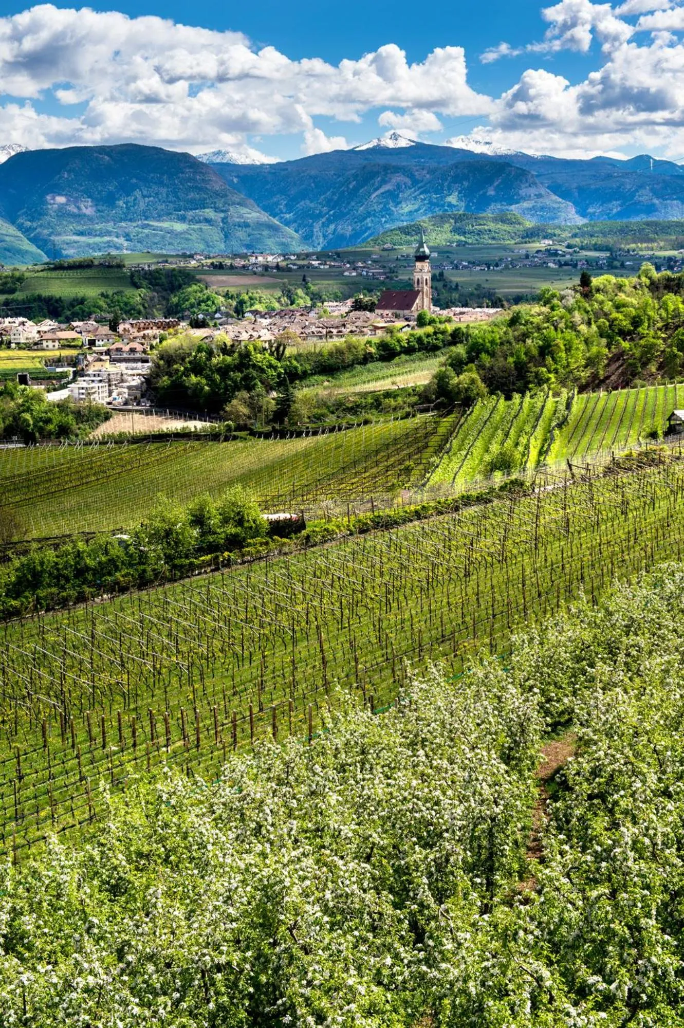 Neighbourhood in Belia Lofts - ADULTS ONLY - Apartments