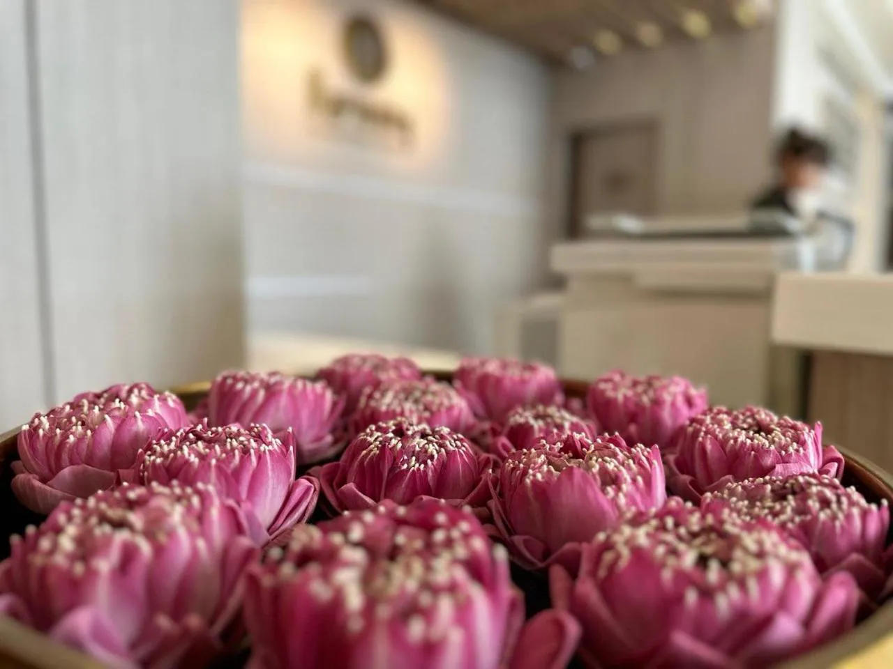 Area and facilities in Harmony Phnom Penh Hotel