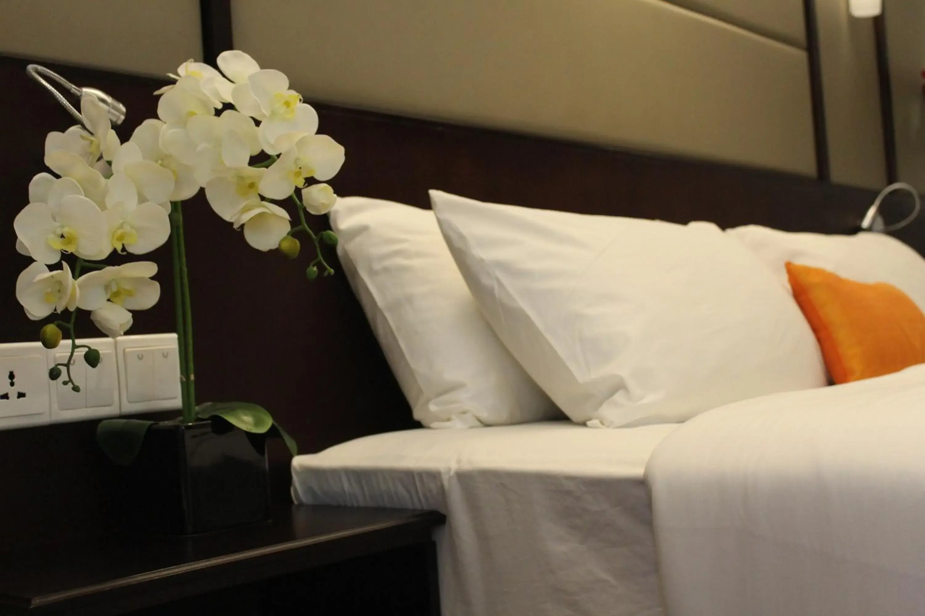 Bed in Harmony Phnom Penh Hotel Bed in Harmony Phnom Penh Hotel