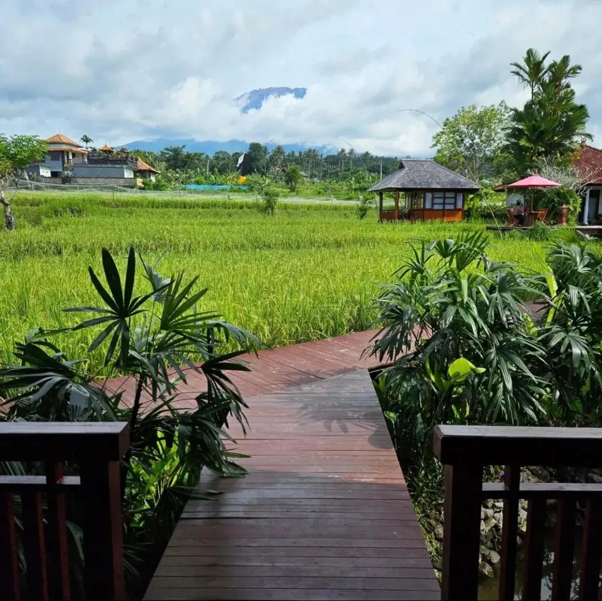 Cottage with Garden View in Cabé Bali Cottage with Garden View in Cabé Bali