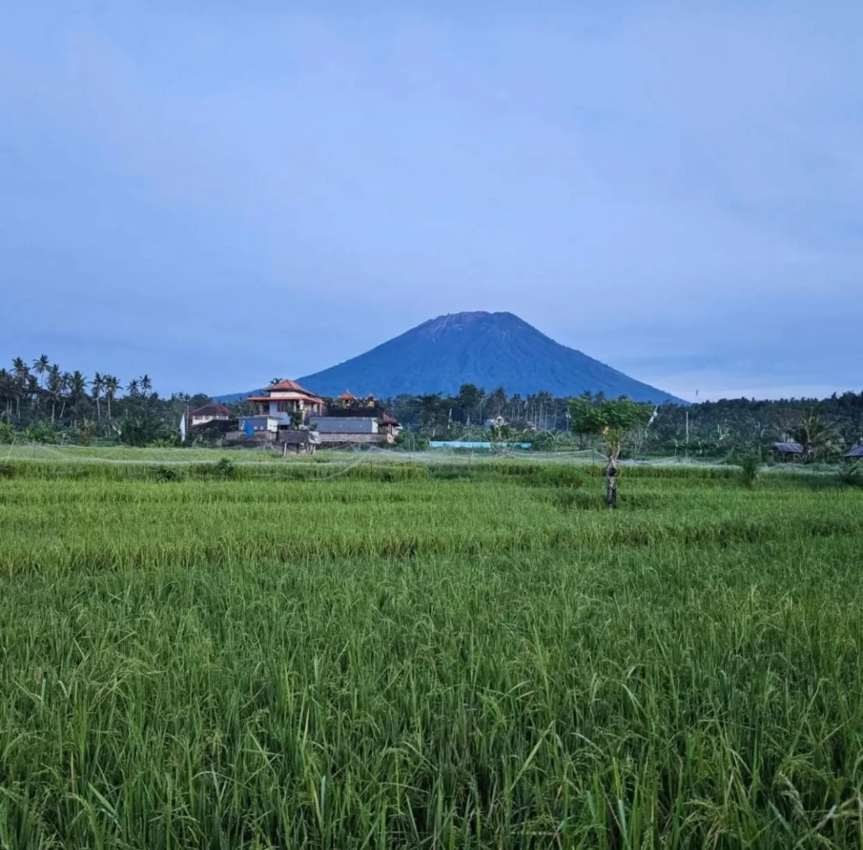 Cabé Bali