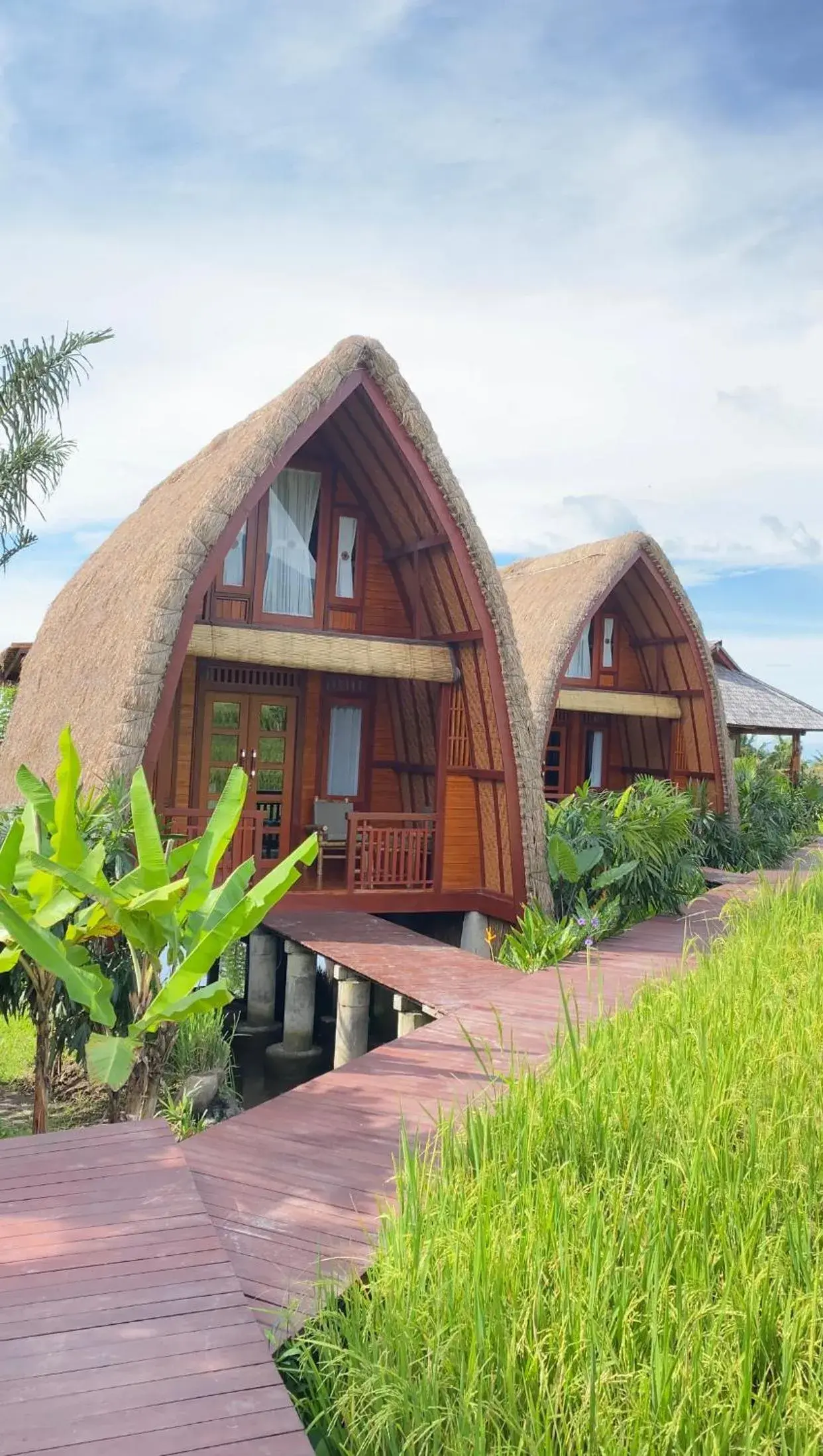 Cabé Bali Cabé Bali