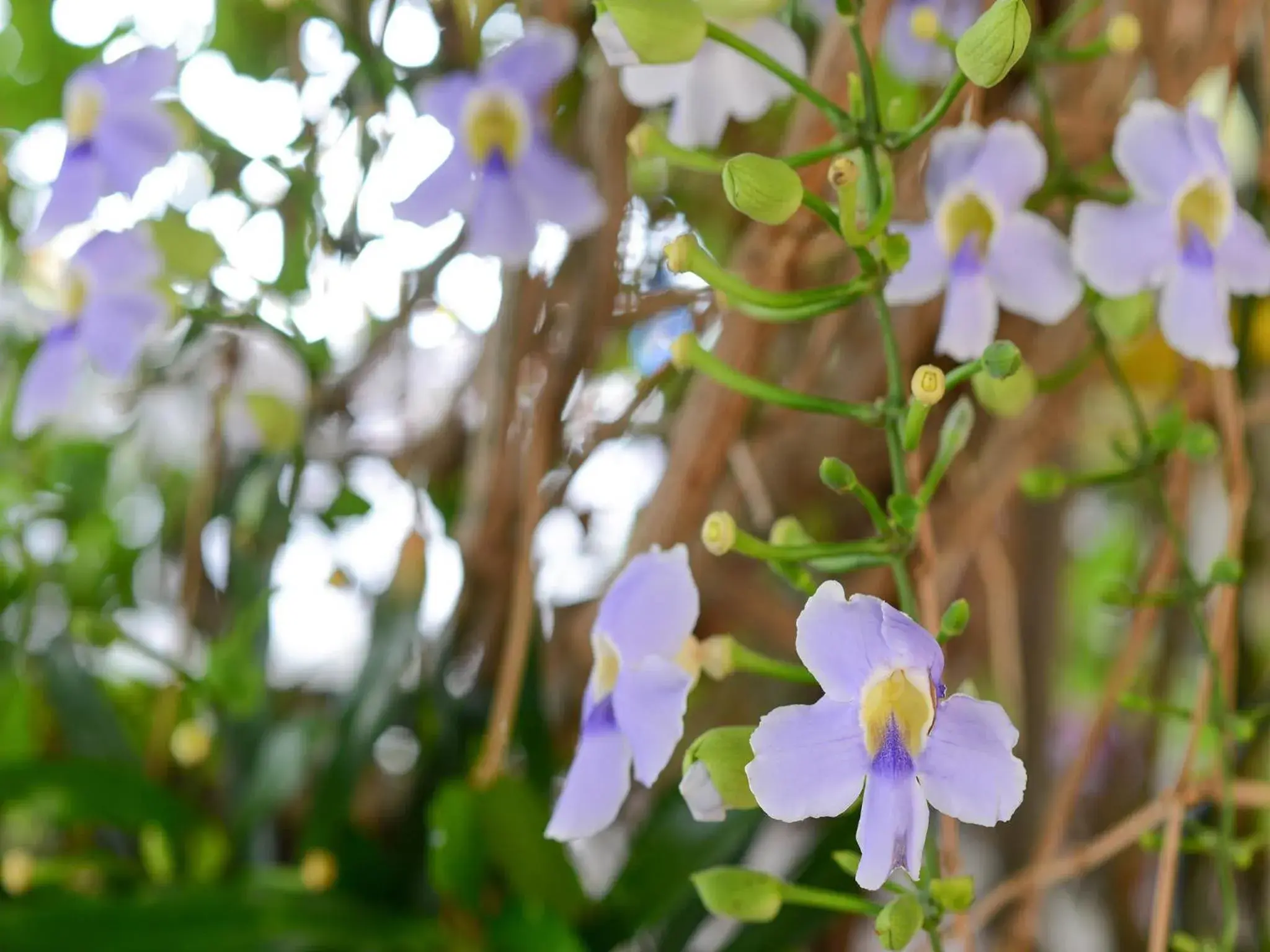 Other in Ban U Thong Accommodations Other in Ban U Thong Accommodations