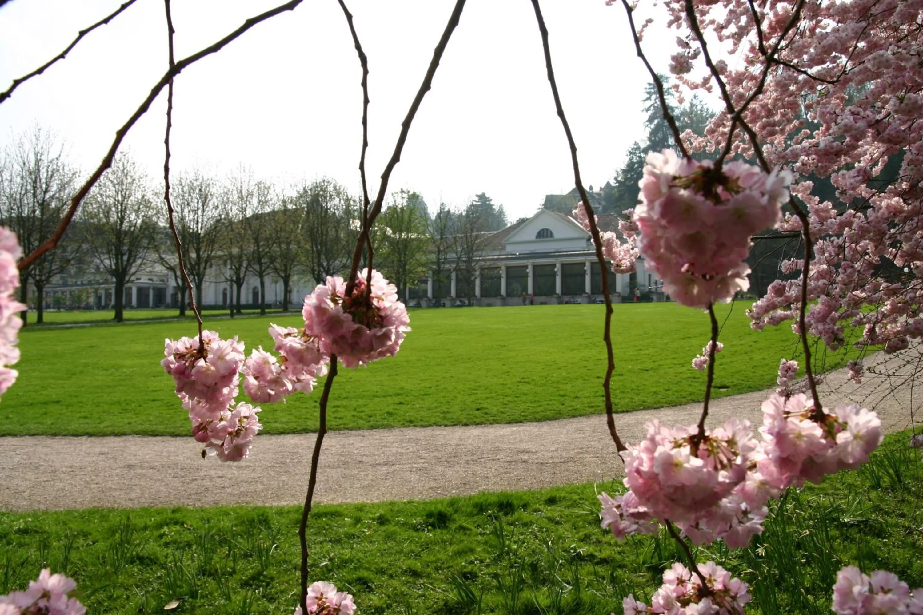 Day in Apparthaus Pfeifer