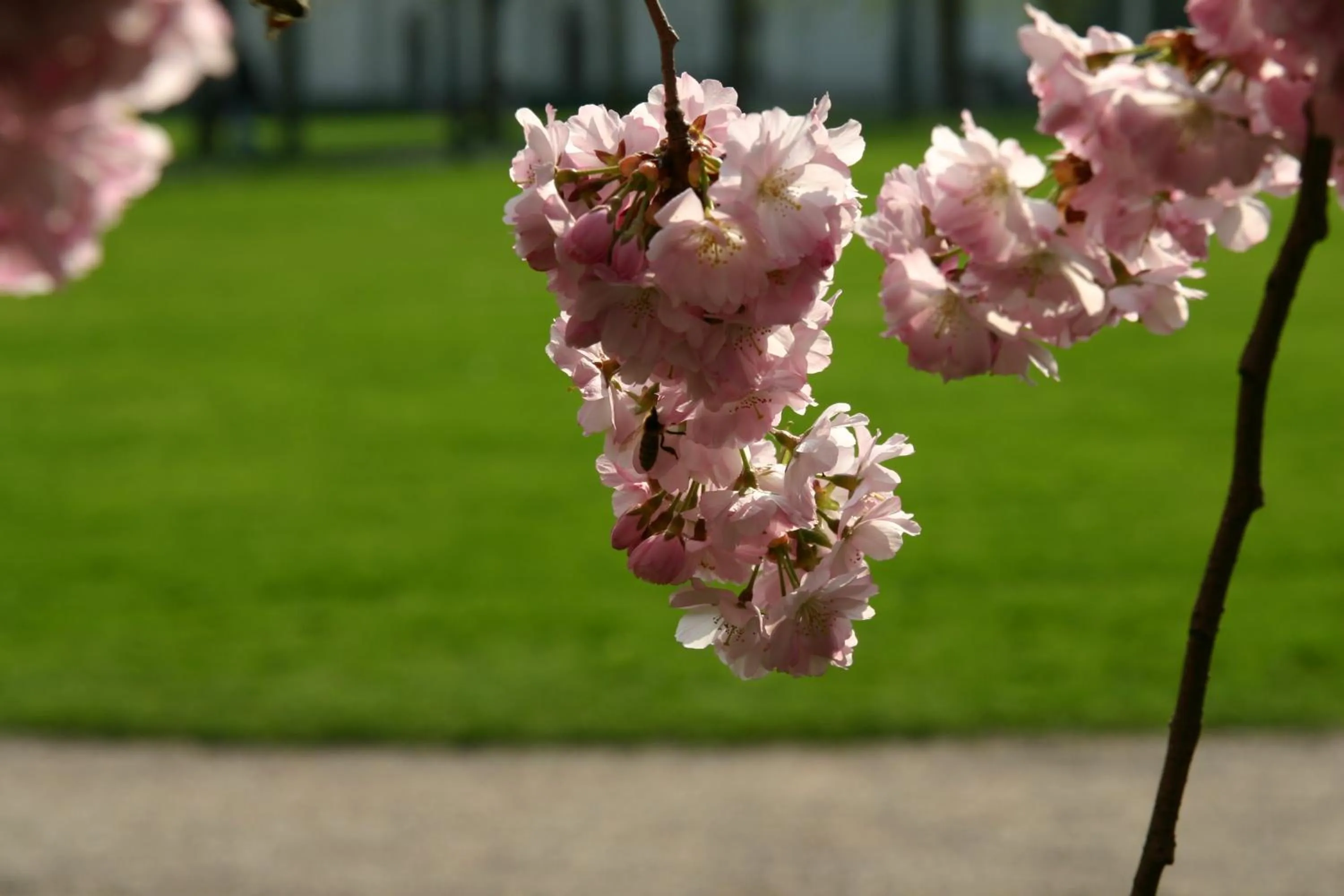 Day in Apparthaus Pfeifer