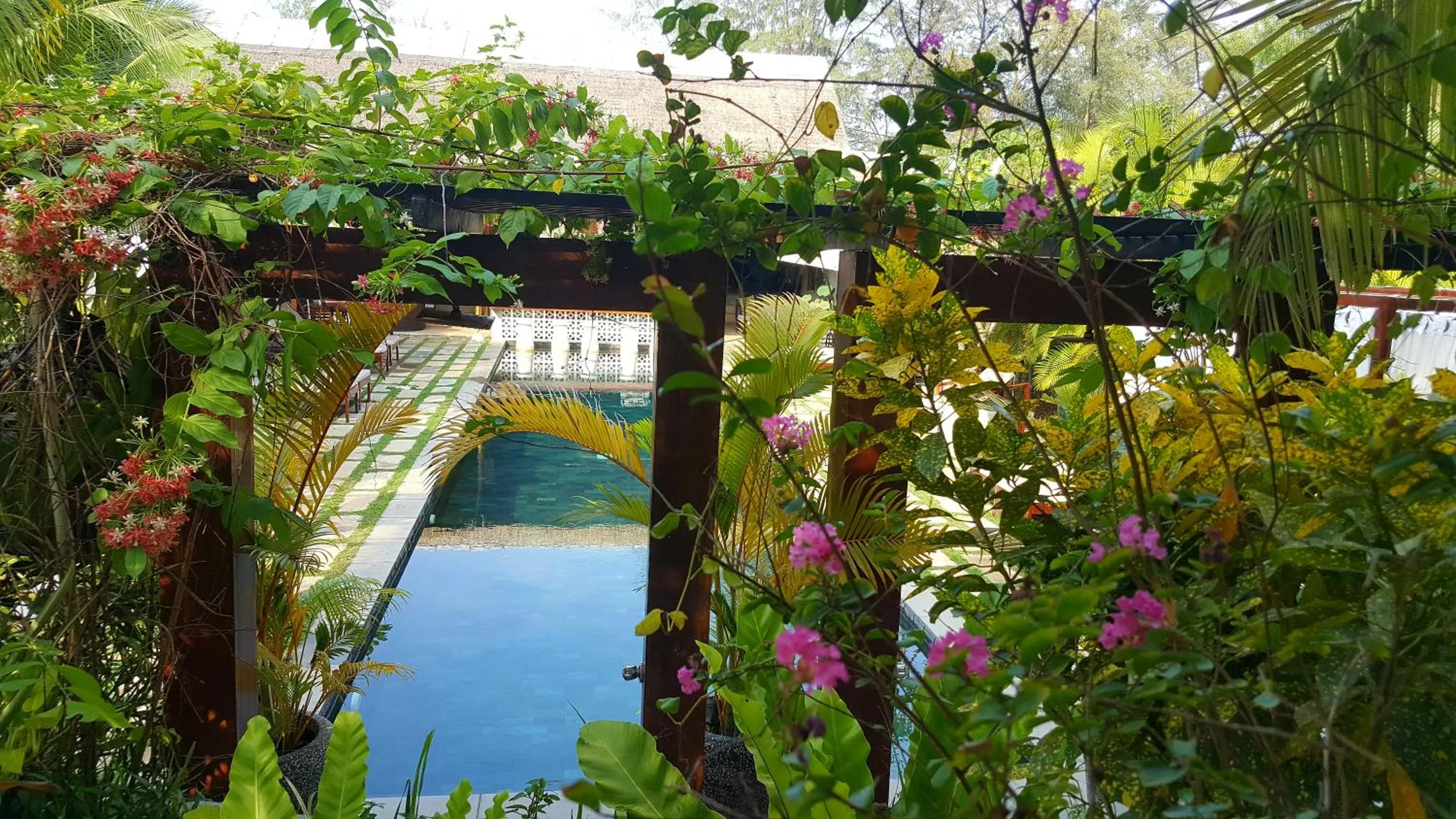 Garden in Sahaa Beach Resort