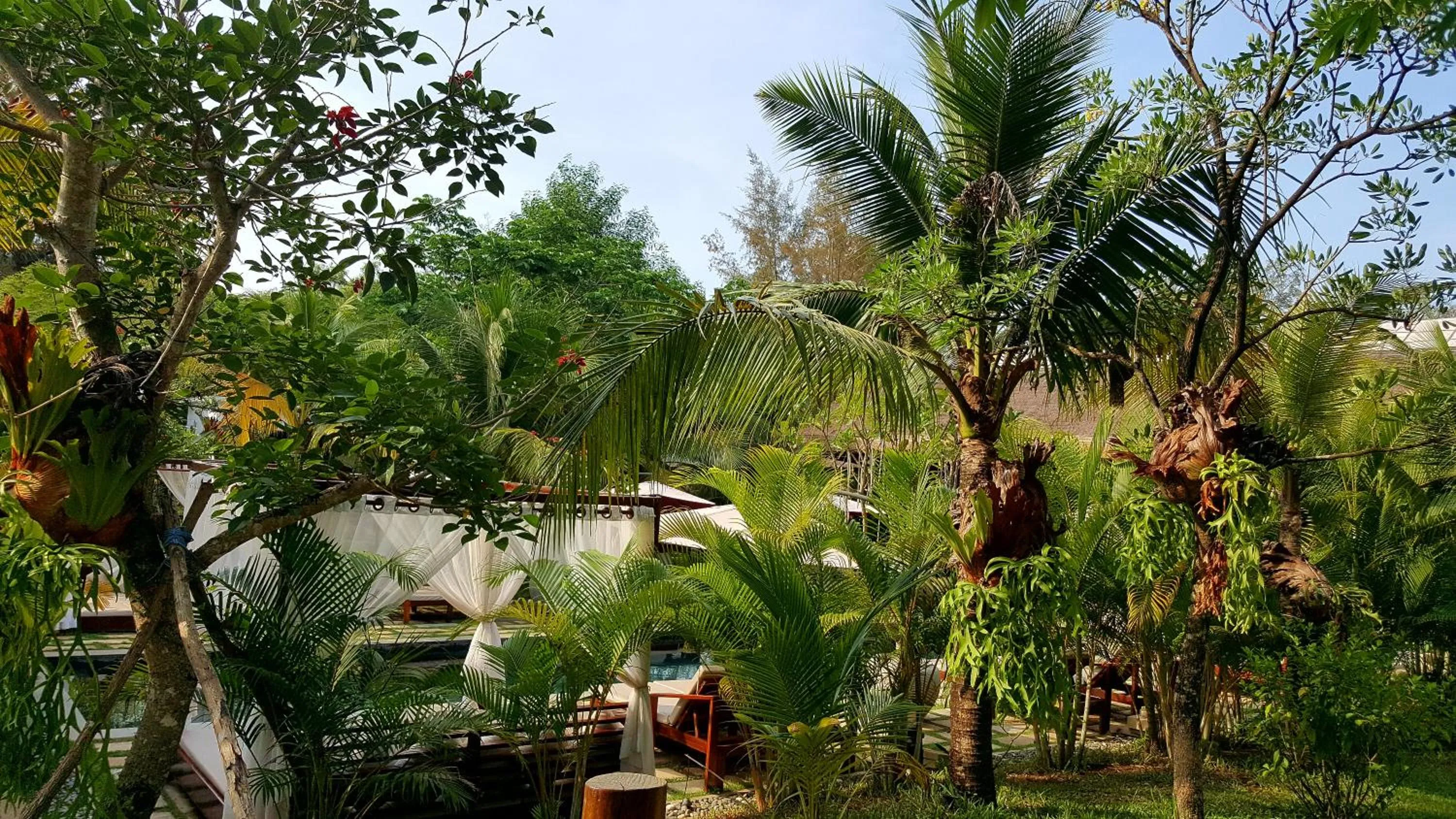 Garden in Sahaa Beach Resort