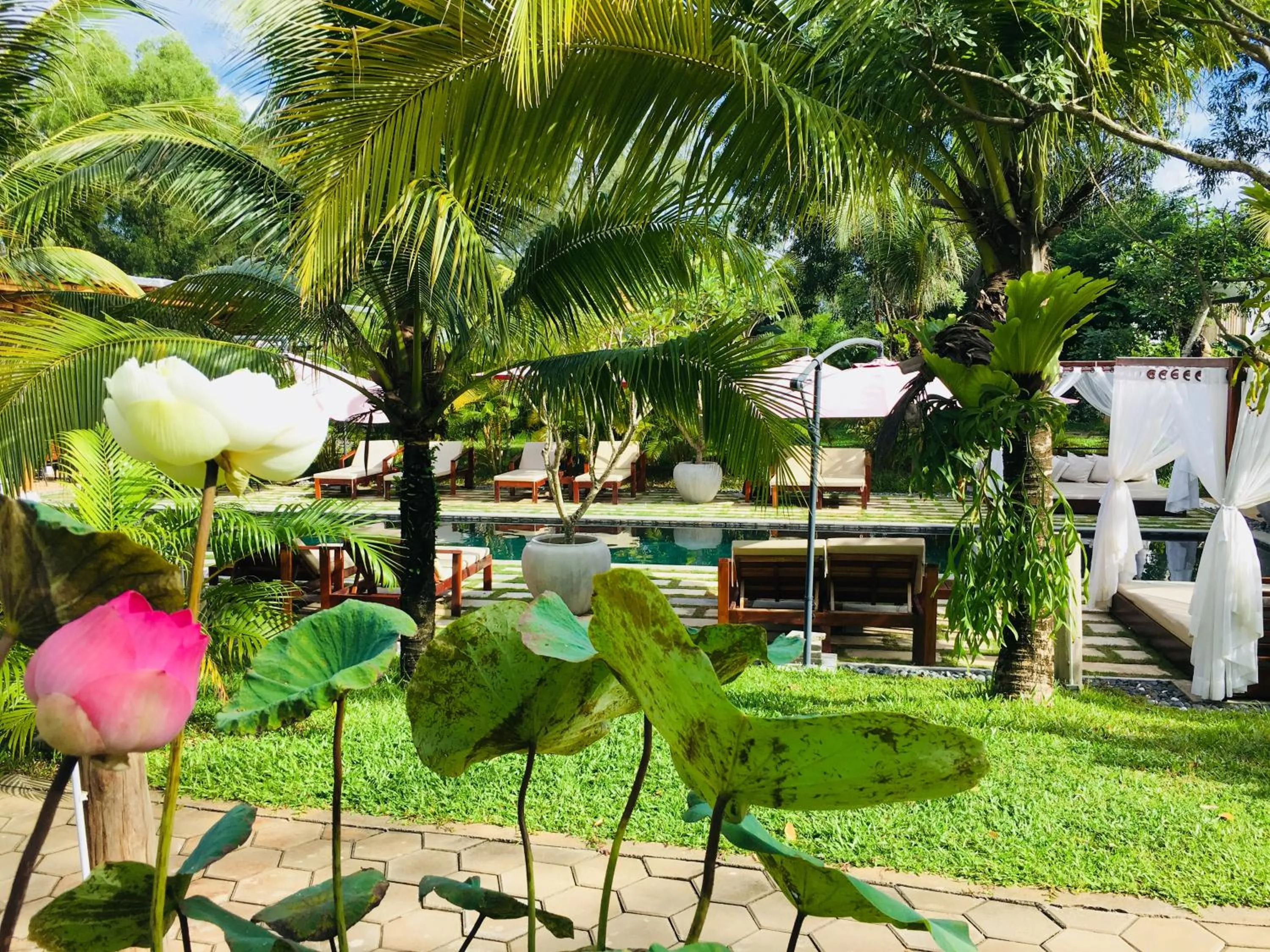 Garden view in Sahaa Beach Resort