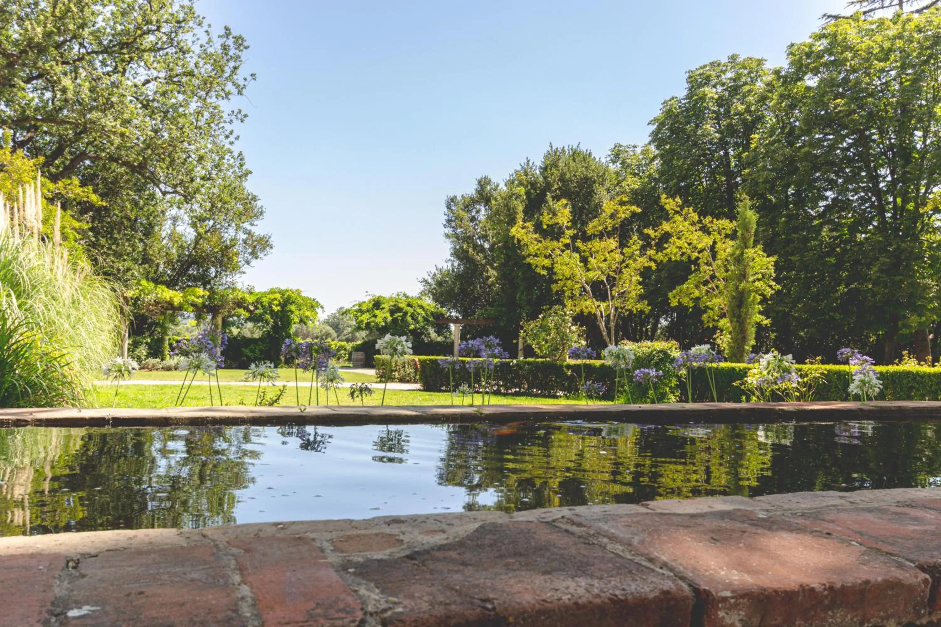 Garden in Domaine de la Baratonne