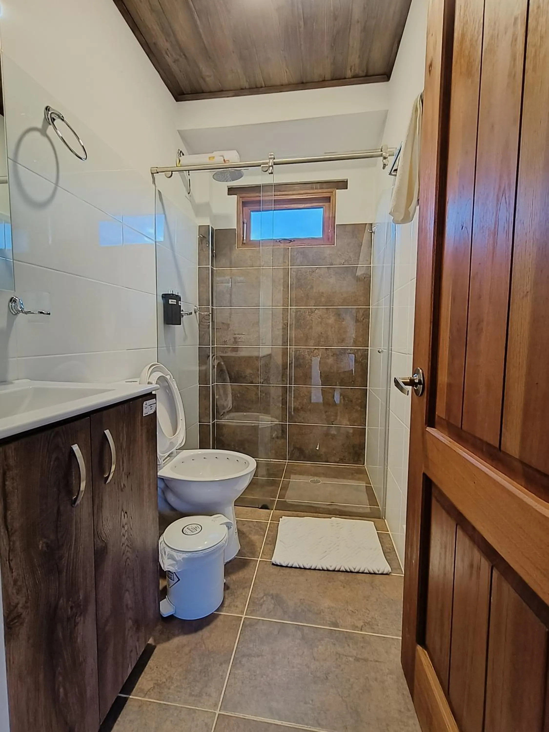 Double Room (1 Adult + 1 Child) in Hotel Pliosaurio Campestre