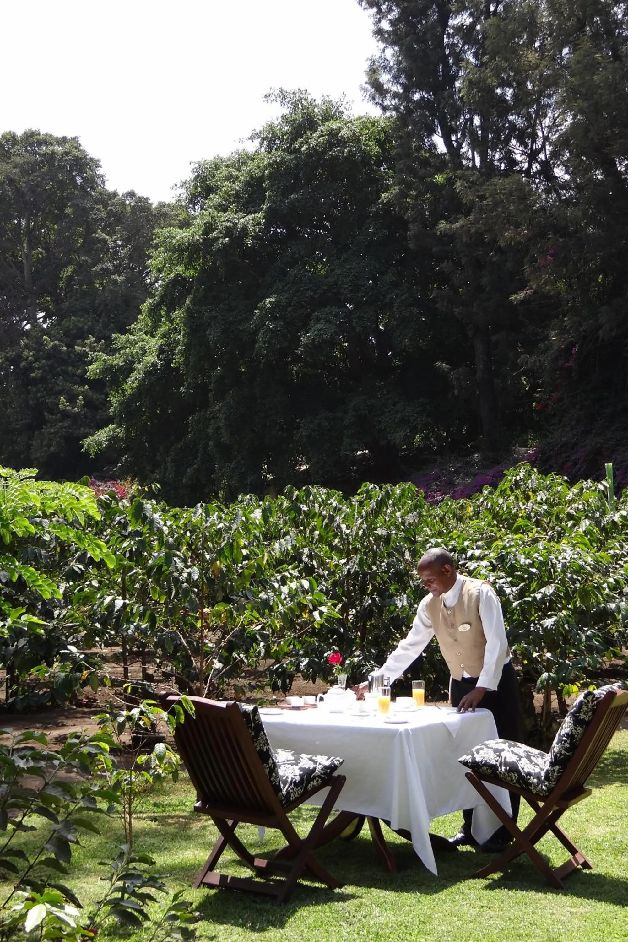 Restaurant/places to eat in Elewana Arusha Coffee Lodge