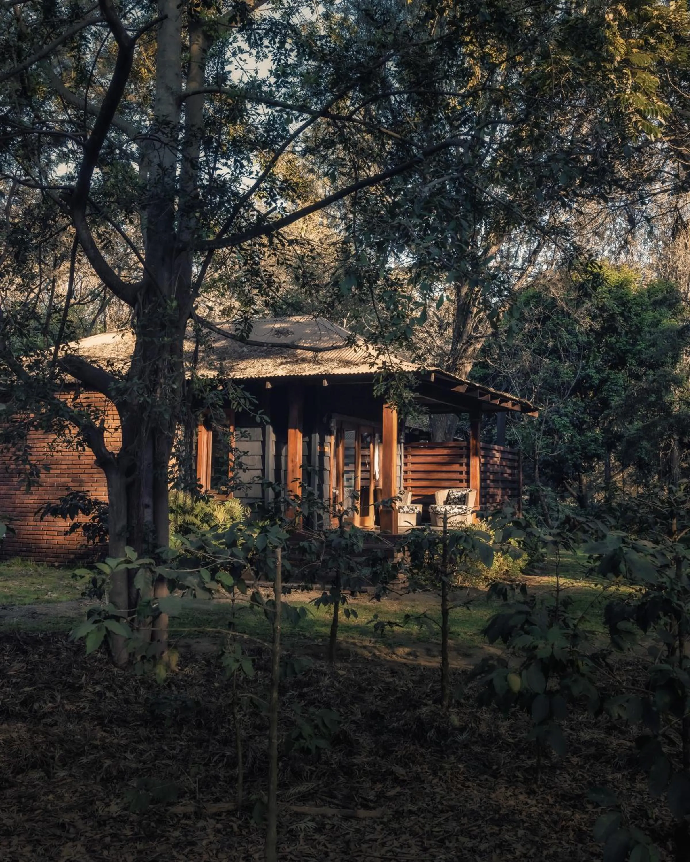 Garden in Elewana Arusha Coffee Lodge