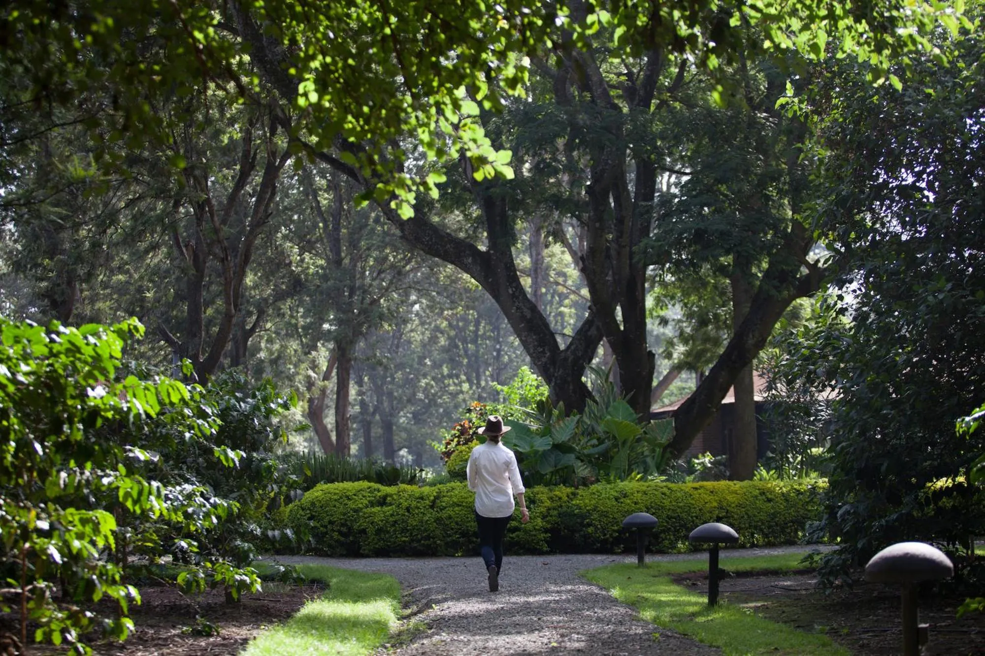 Property building in Elewana Arusha Coffee Lodge