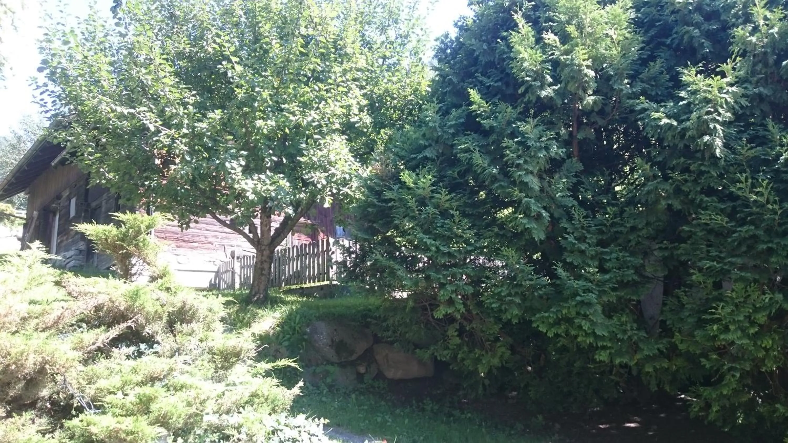 Day in Hotel Garni Angerer