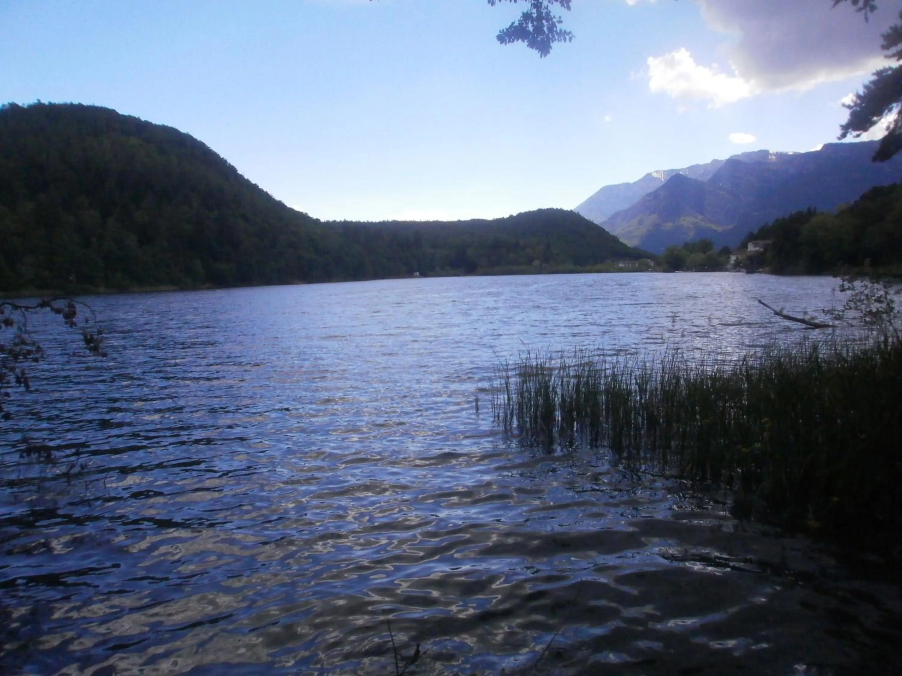 Natural landscape in Hotel Garni Angerer