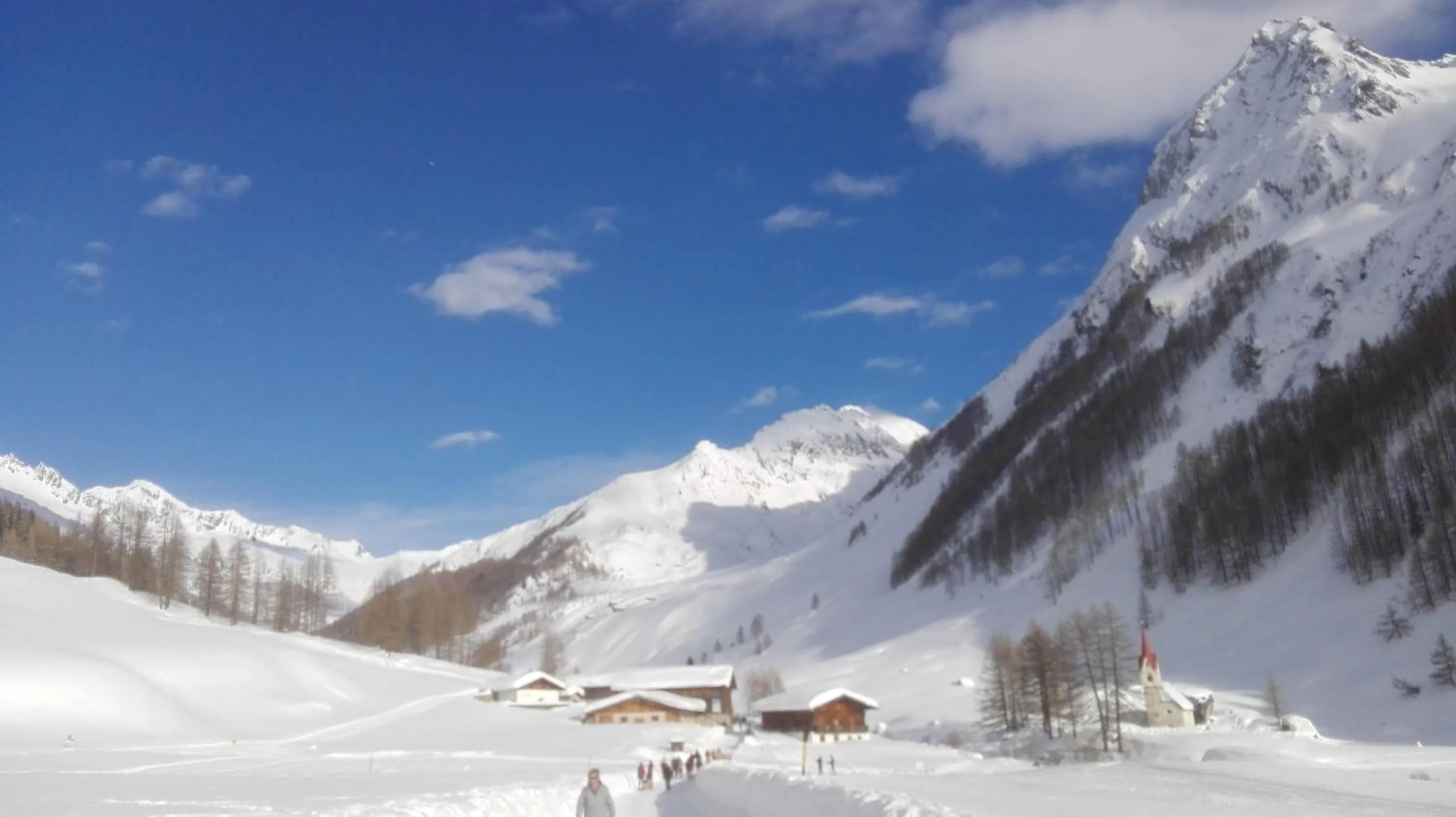 Natural landscape in Hotel Garni Angerer